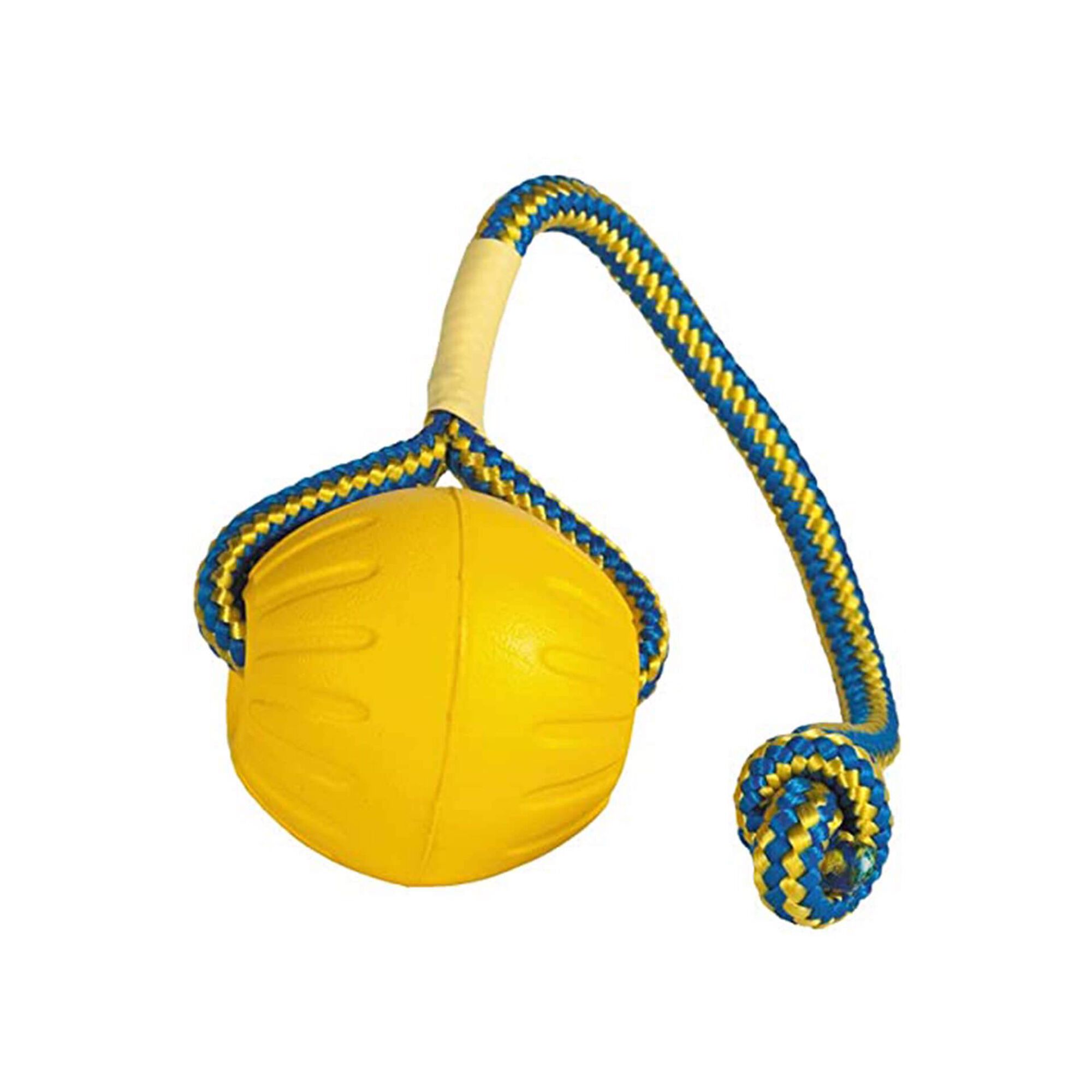Brinquedo para Cão Bola Swing & Fling Foam Flutuante M