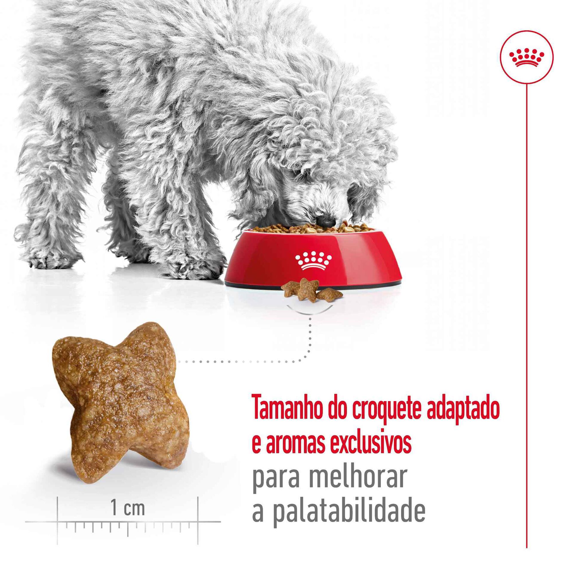 Ração para Cão Adulto Mini