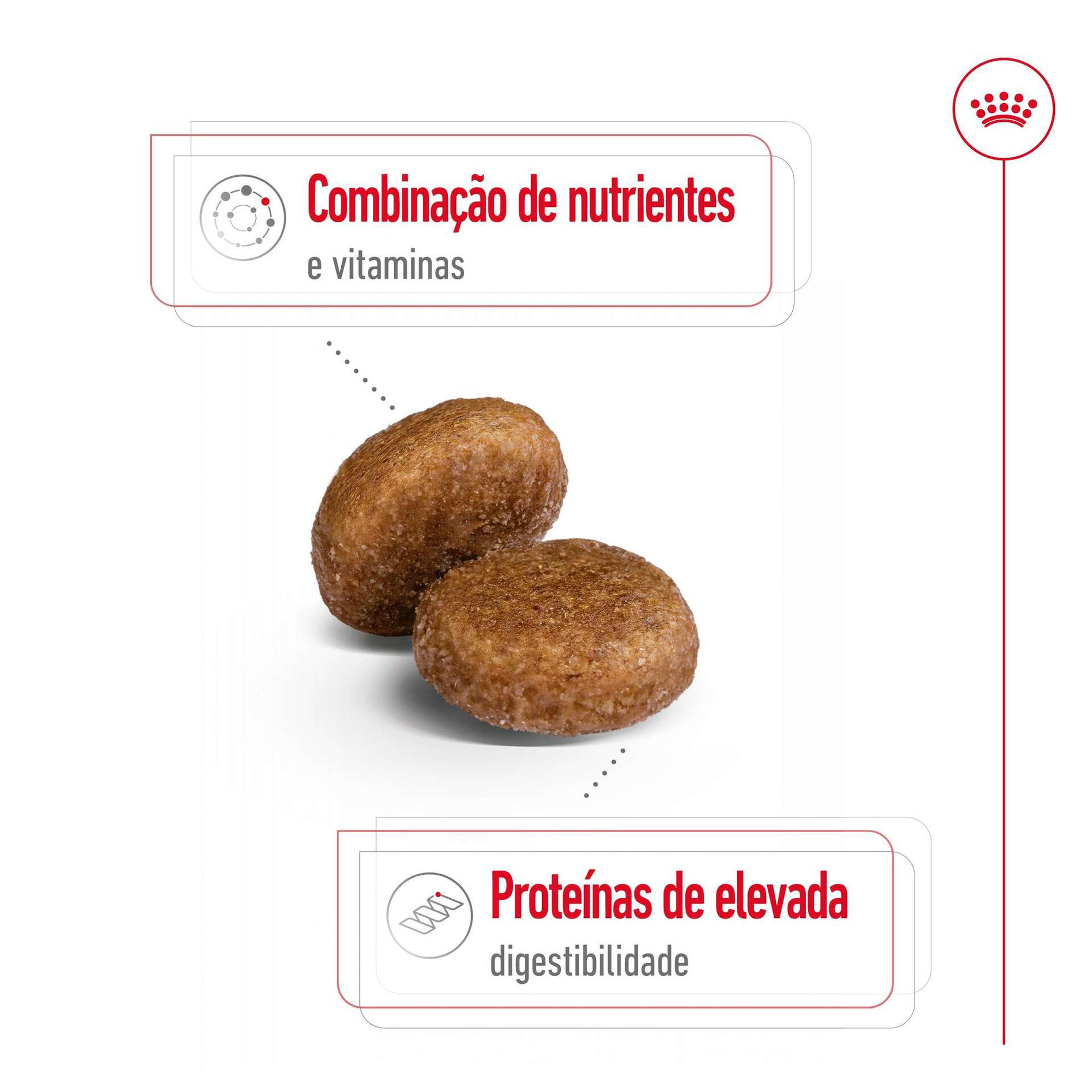 Ração para Cão Adulto Maxi Ageing 5+