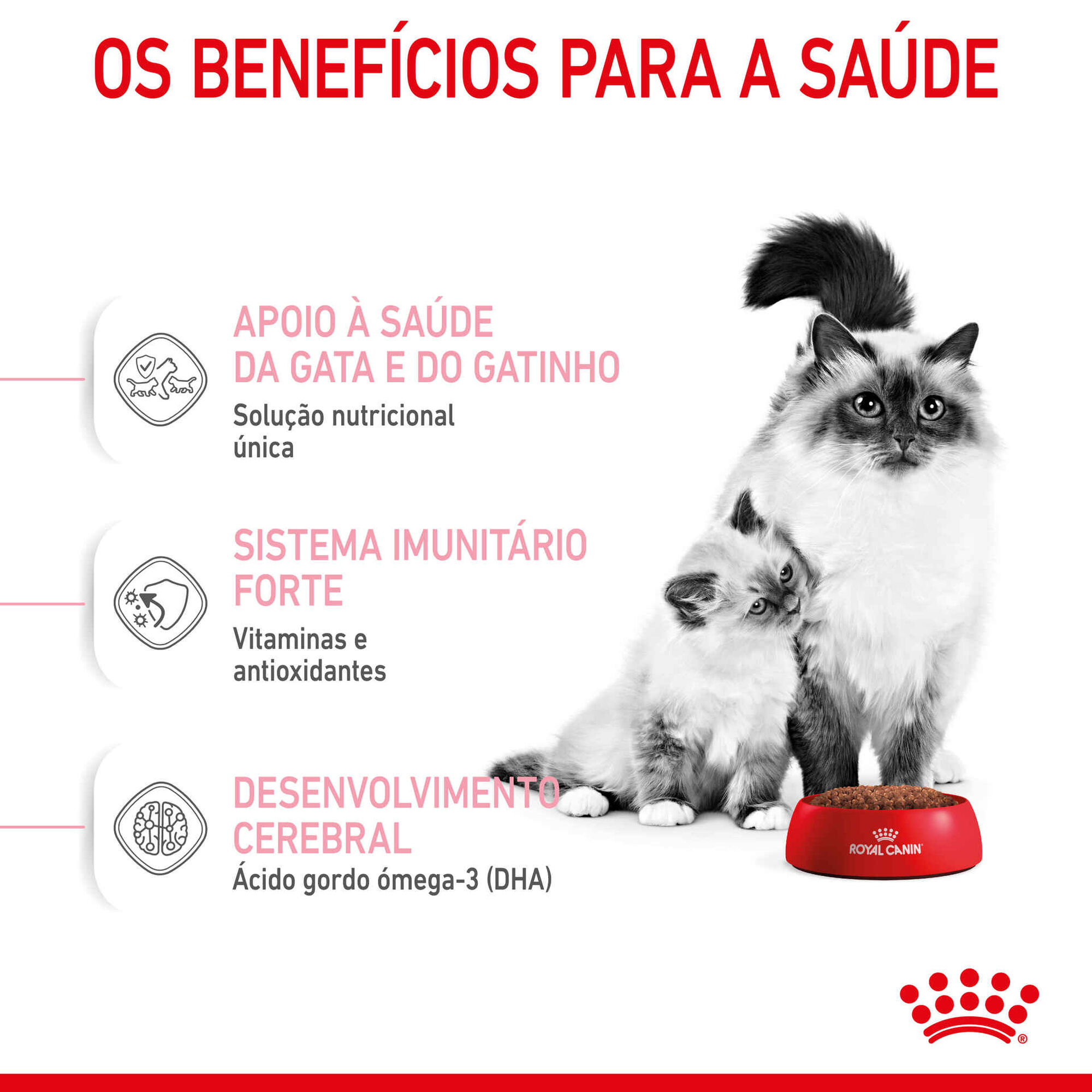 Ração para Gato First Age Mother e Babycat