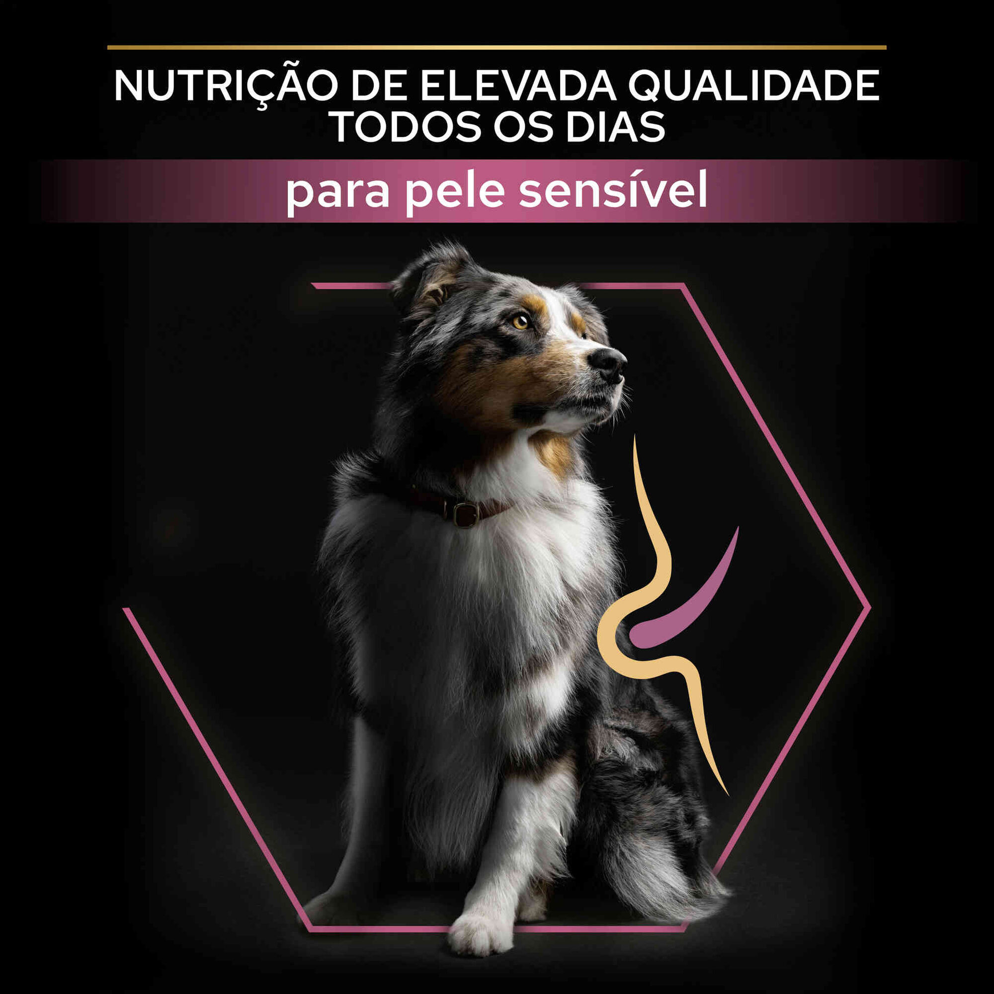 Ração para Cão Adulto Sensitive Skin