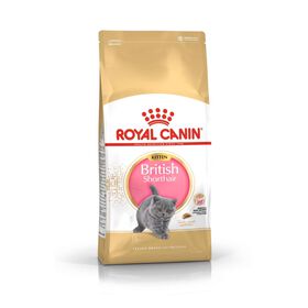 Ração para Gato Júnior British Shorthair