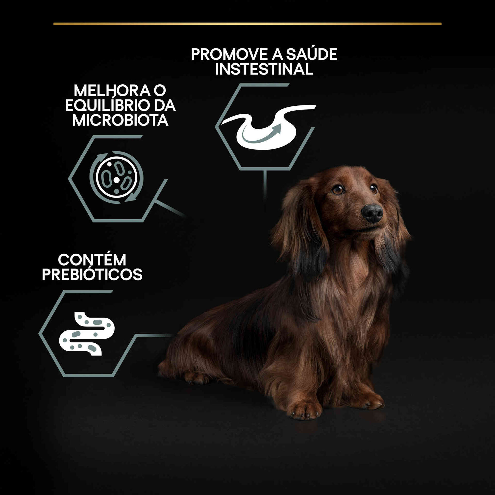 Ração para Cão Adulto Mini Sensitive Digestion Borrego