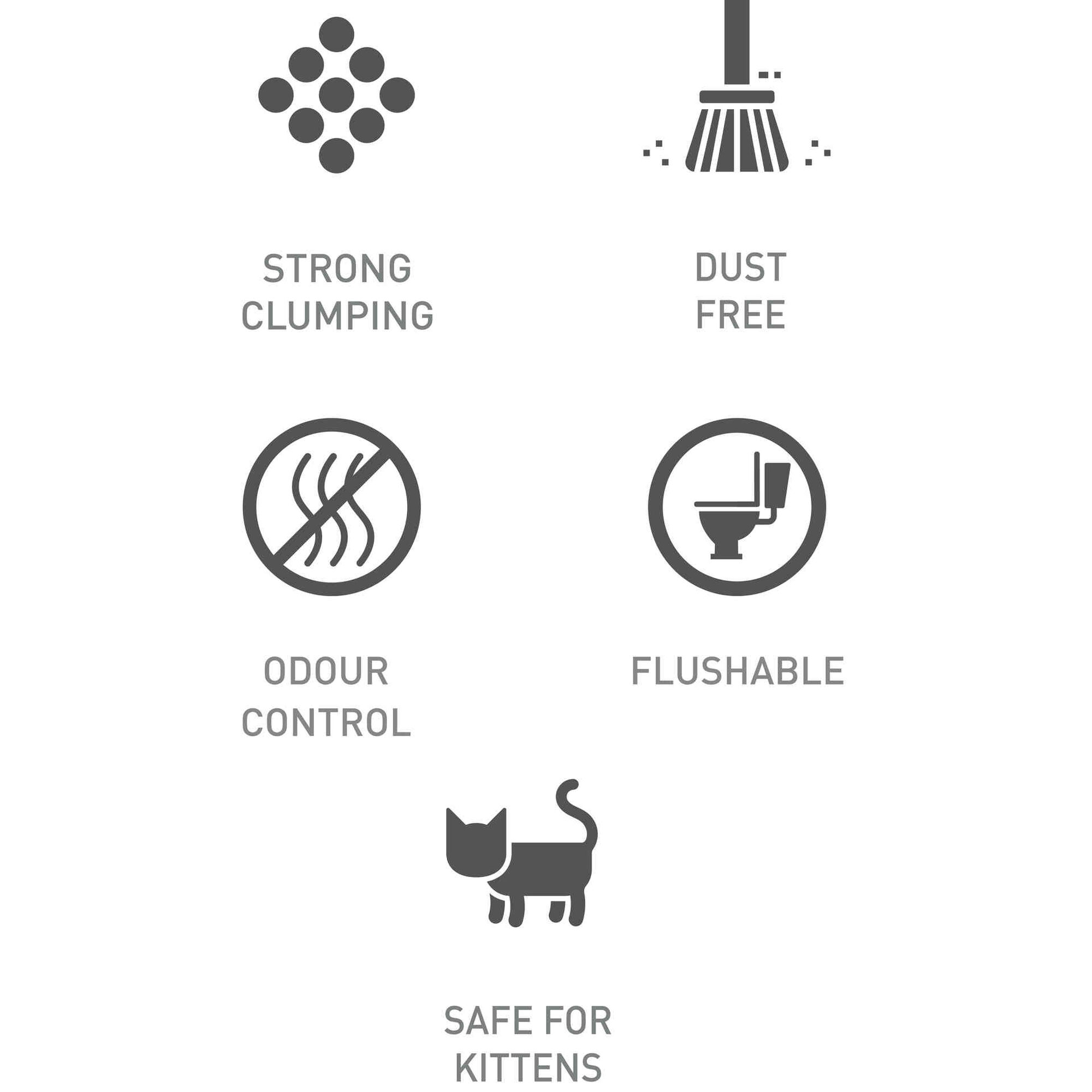 Areia Aglomerante Charcoal Tofu