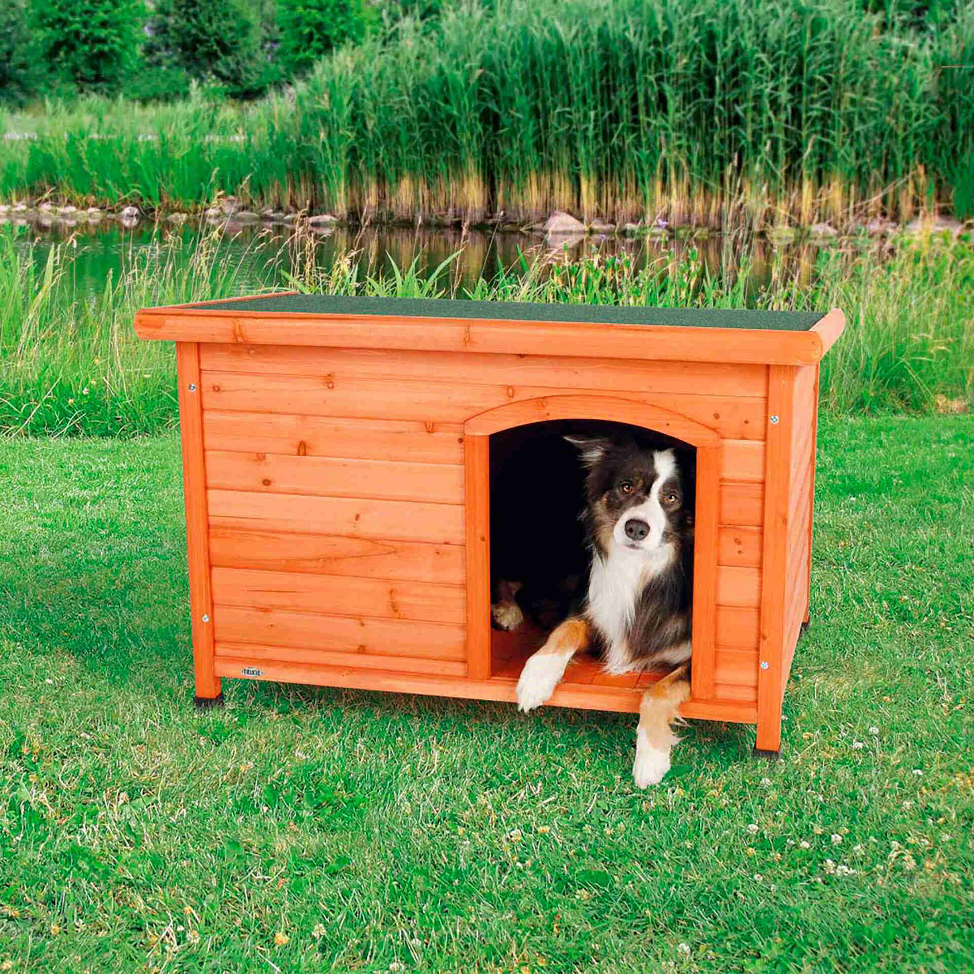 Casota Classic Castanho