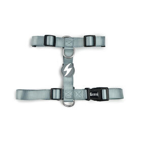 Arn&ecirc;s para C&atilde;o Cinza S