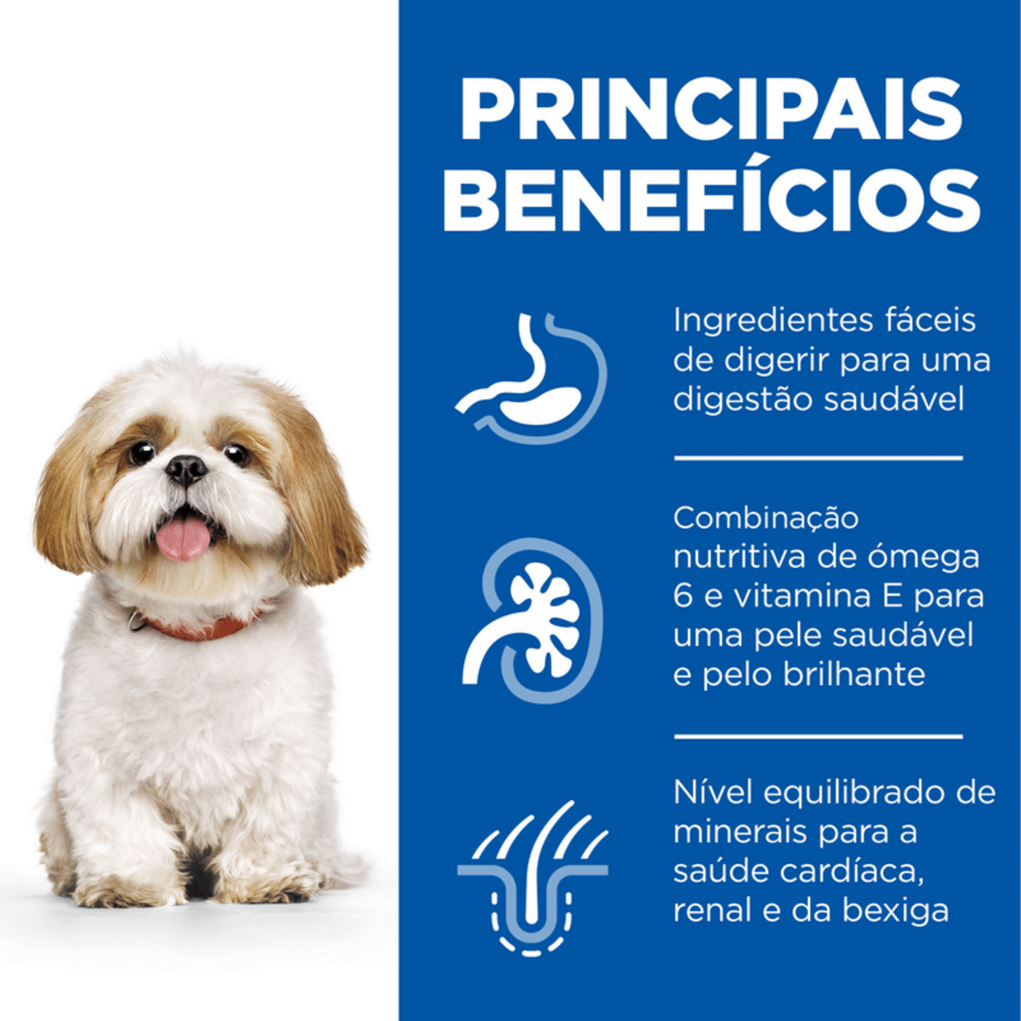 Ração para Cão Adulto Mini Science Plan Maturo 7+ Frango