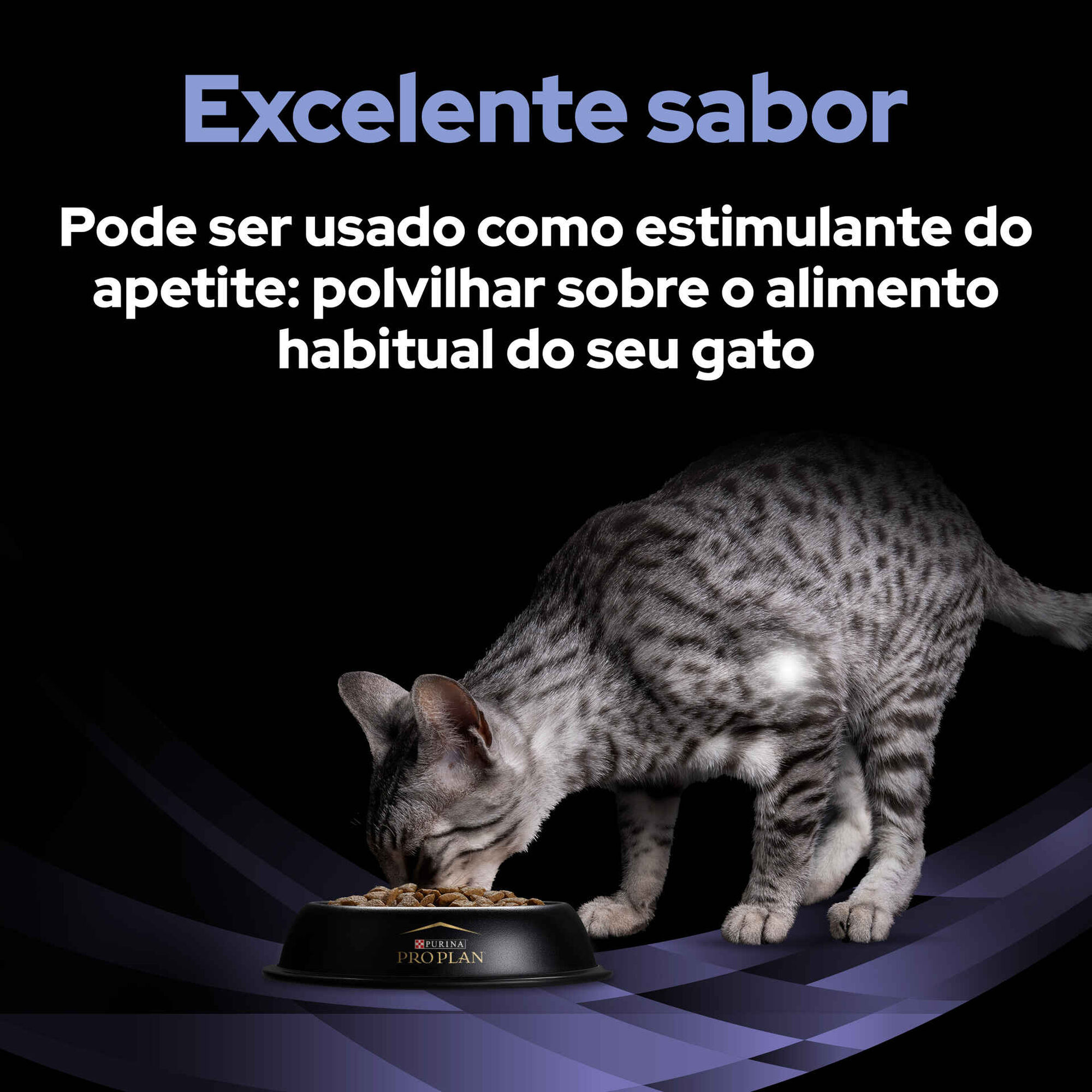 Suplemento Fortiflora para Gato Suplemento Fortiflora para Gato