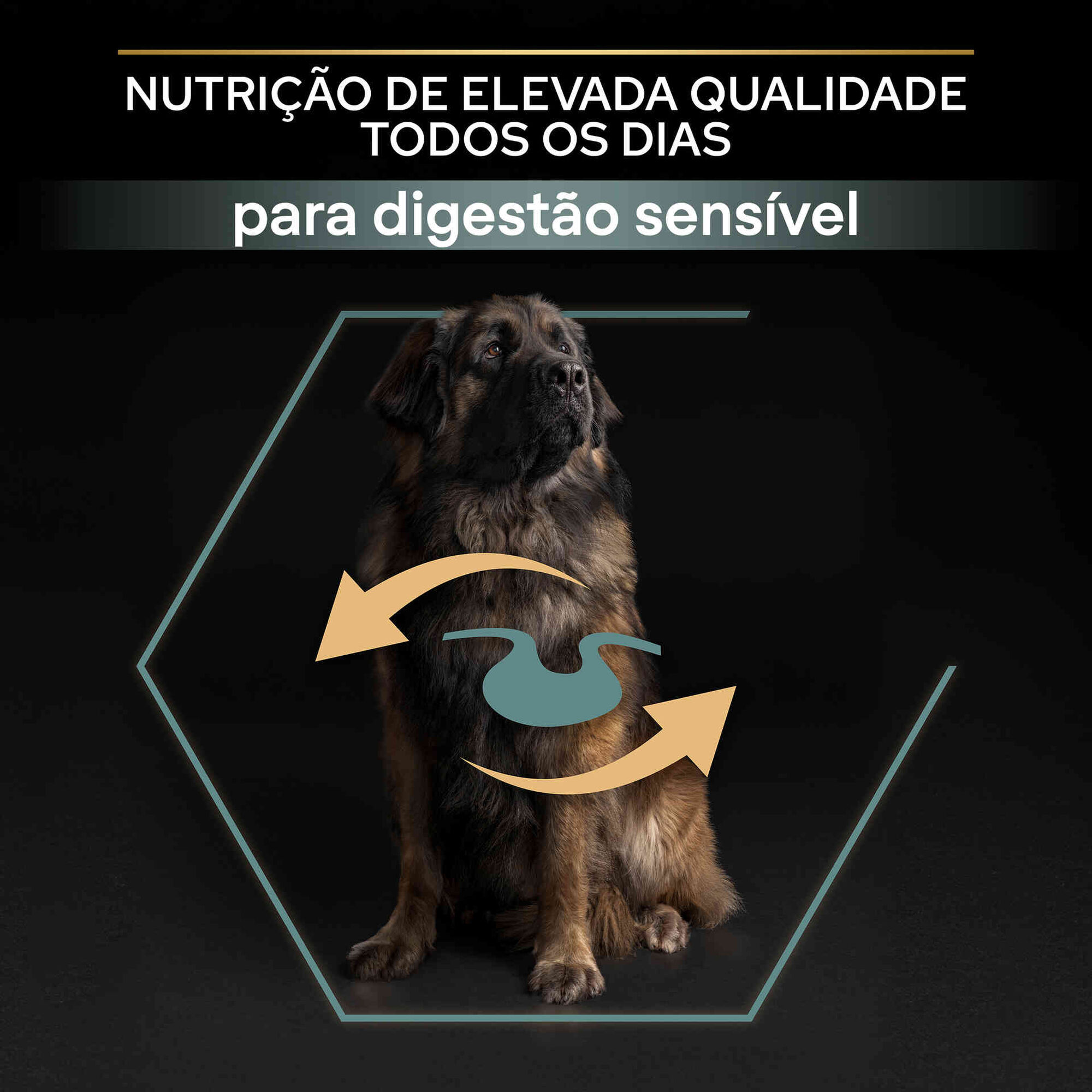 Ração para Cão Adulto Maxi Robusto Sensitive Digestion Borrego
