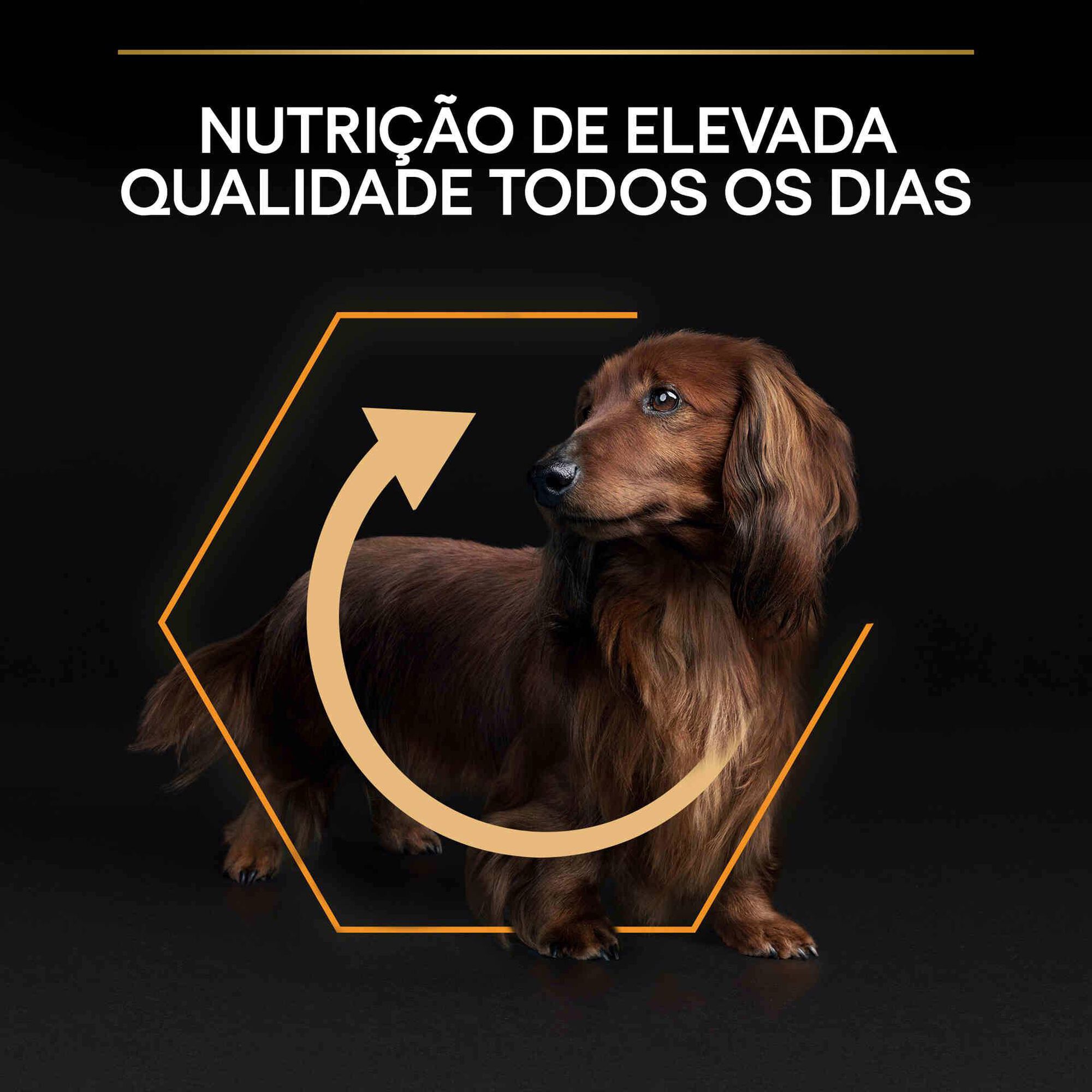 Ração para Cão Adulto Mini Everyday Nutrition Frango