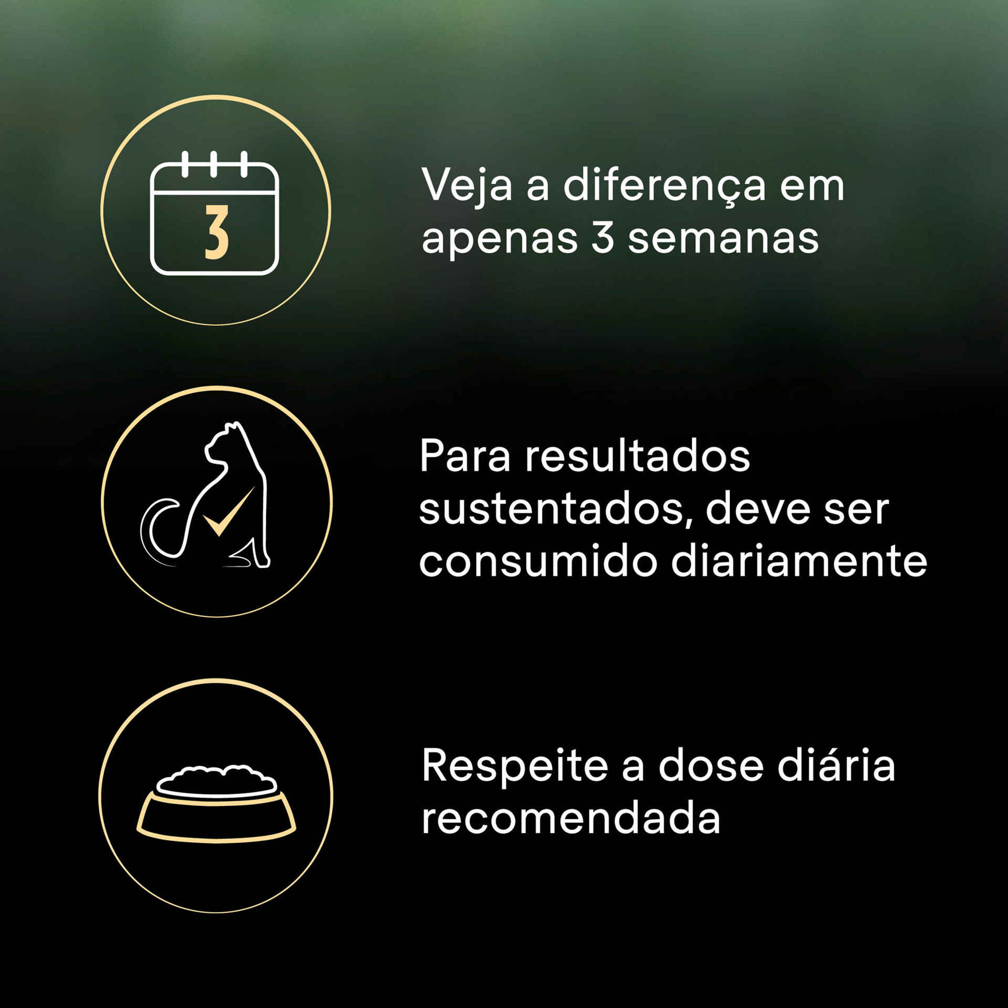 Ração para Gato Adulto Esterilizado Live Clear Peru