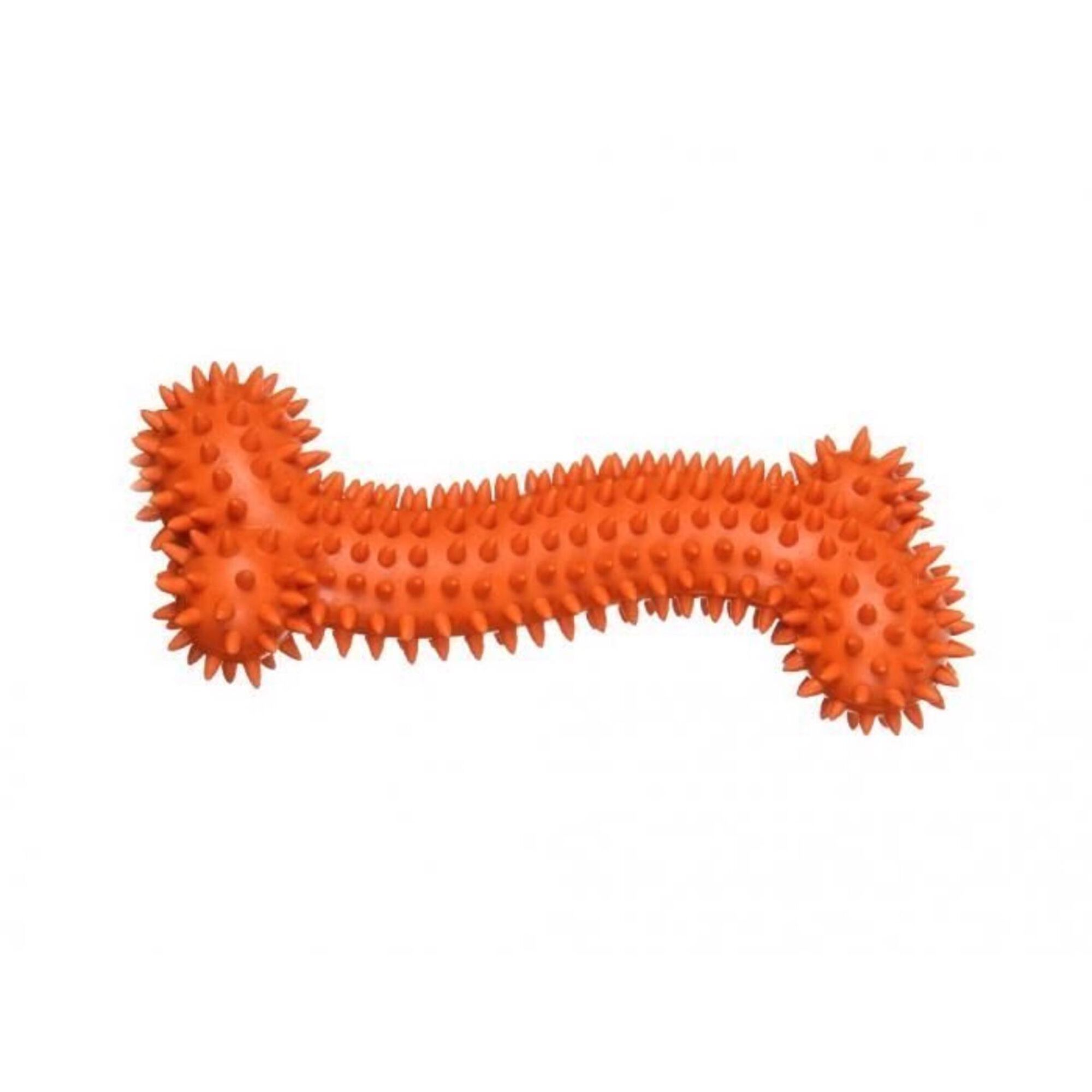 Brinquedo para Cão Osso Spikey Borracha 17cm (Vários Modelos) Brinquedo para Cão Osso Spikey Borracha 17cm (Vários Modelos)
