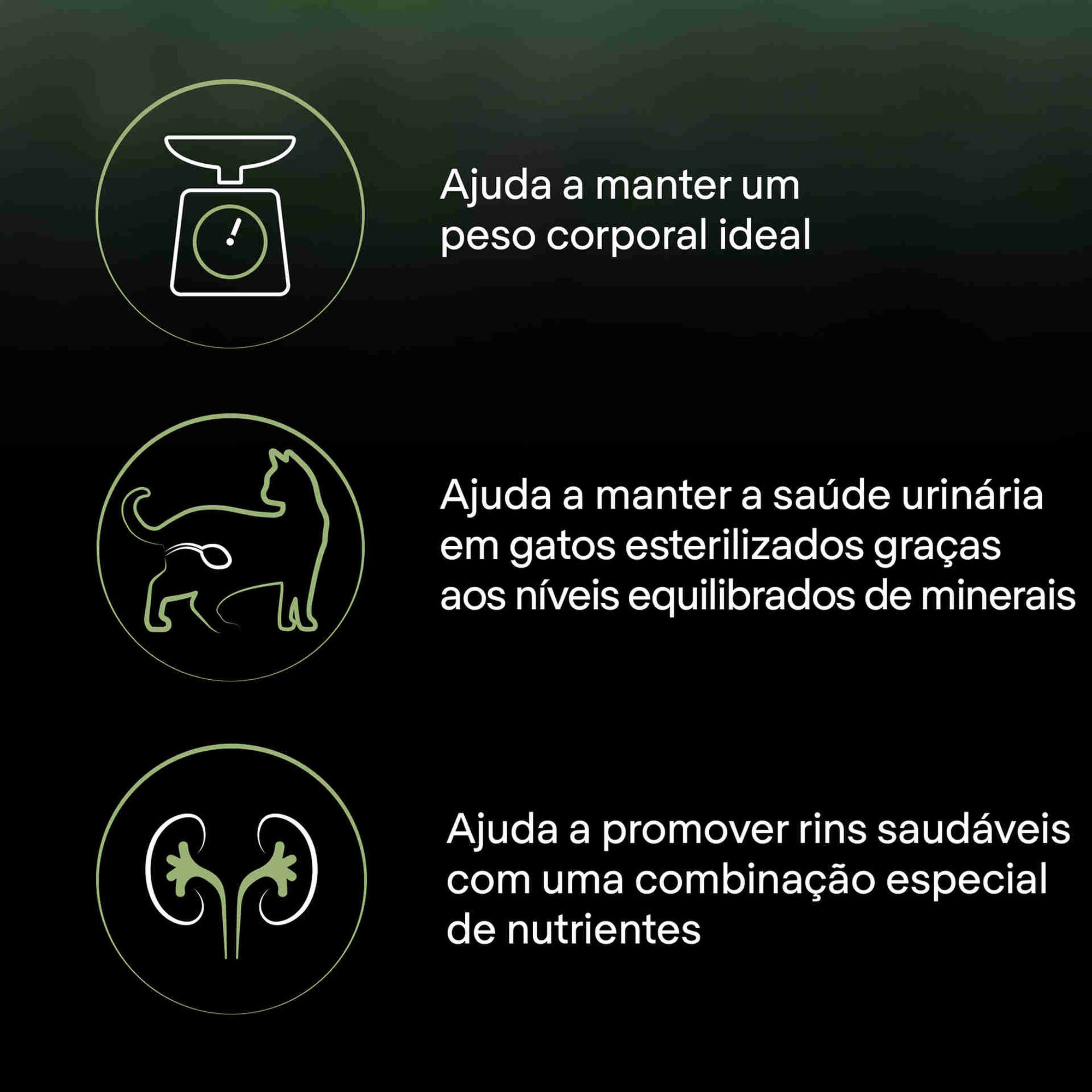 Ração para Gato Adulto Esterilizado Live Clear Peru