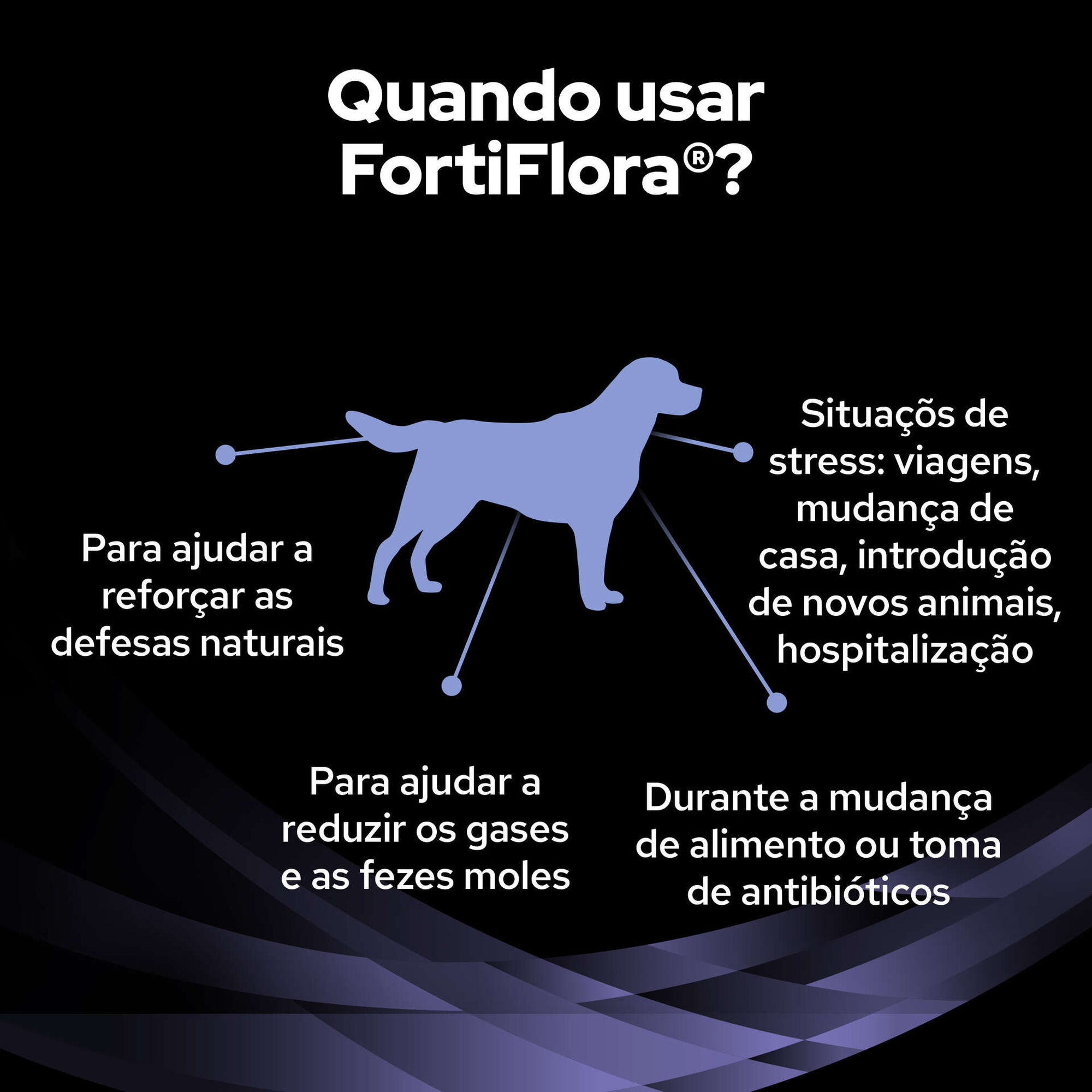 Suplemento Fortiflora para Cão Suplemento Fortiflora para Cão