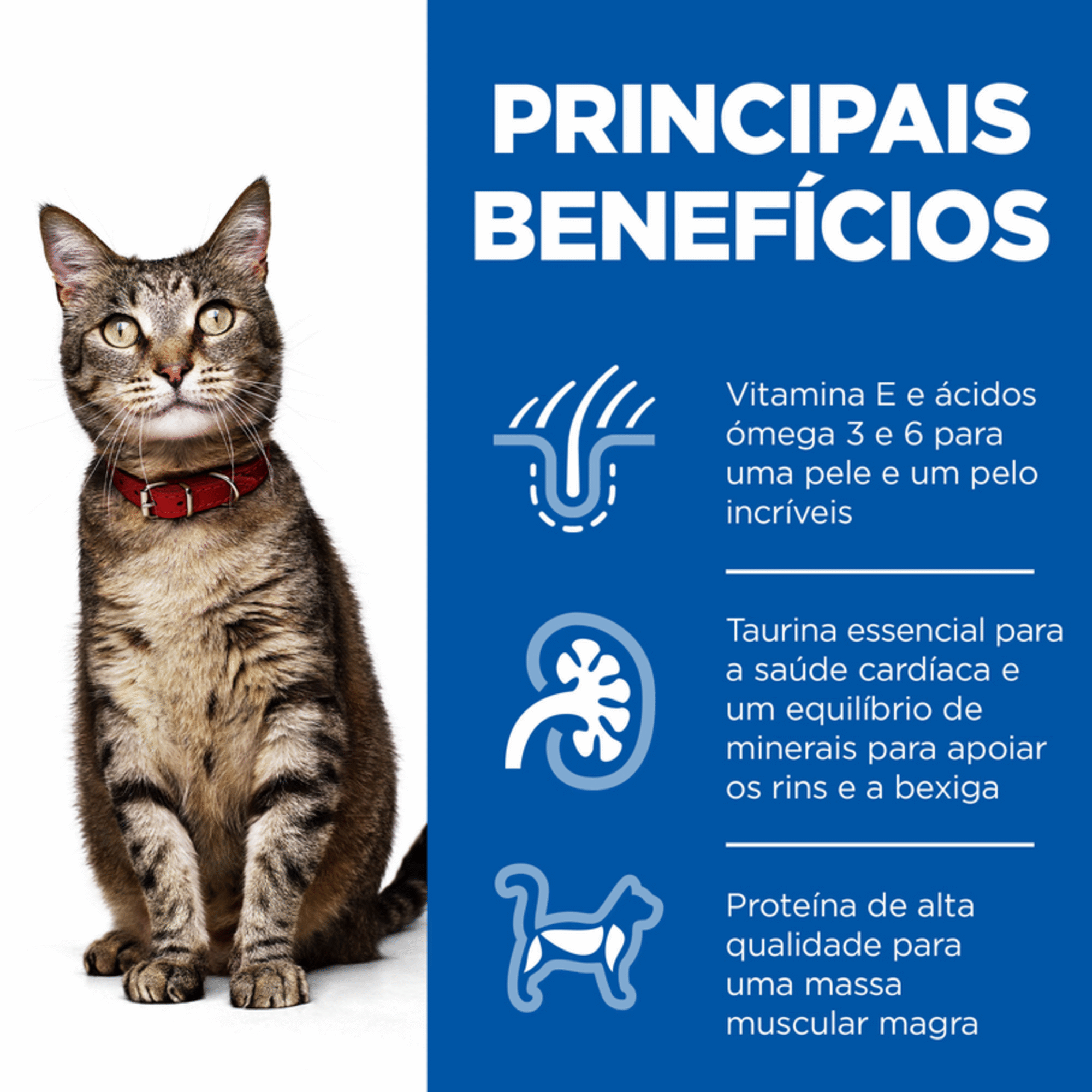 Comida Húmida para Gato Adulto Science Plan Frango