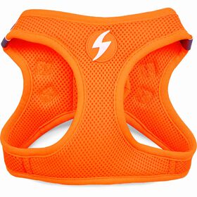 Peitoral para C&atilde;o Laranja Neon XS Dashi