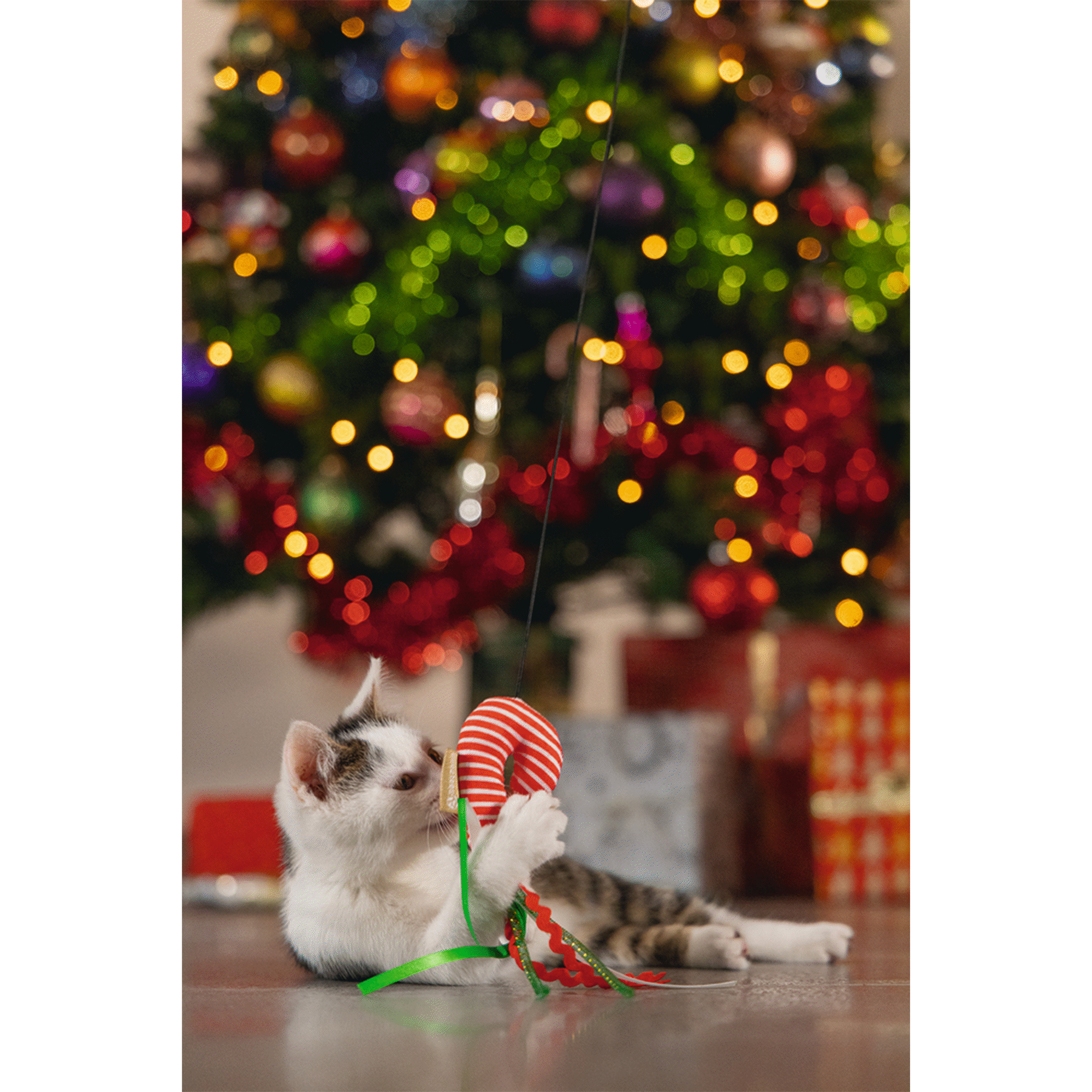 Brinquedo para Gato Candy Cane Beeztees