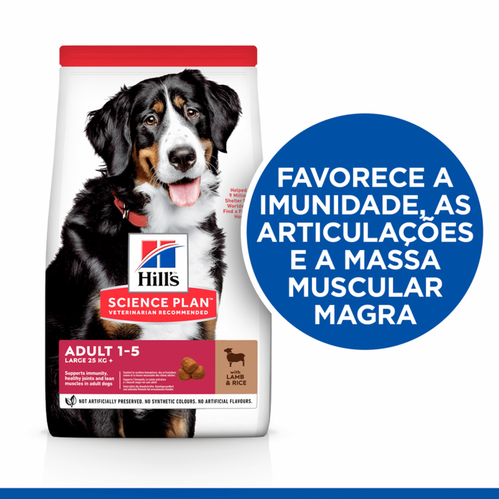 Ração para Cão Adulto Maxi Science Plan Borrego e Arroz