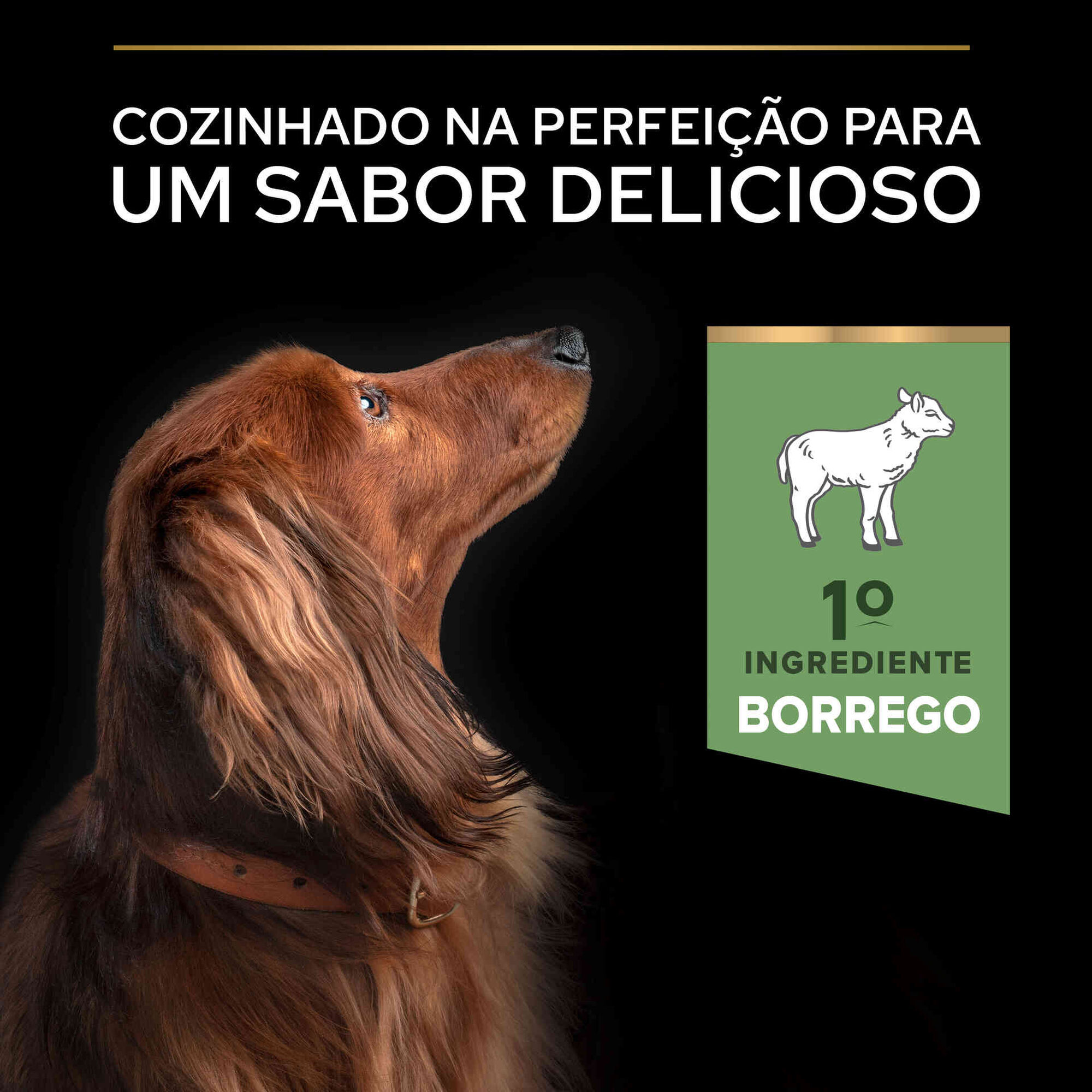 Ração para Cão Adulto Mini Sensitive Digestion Borrego