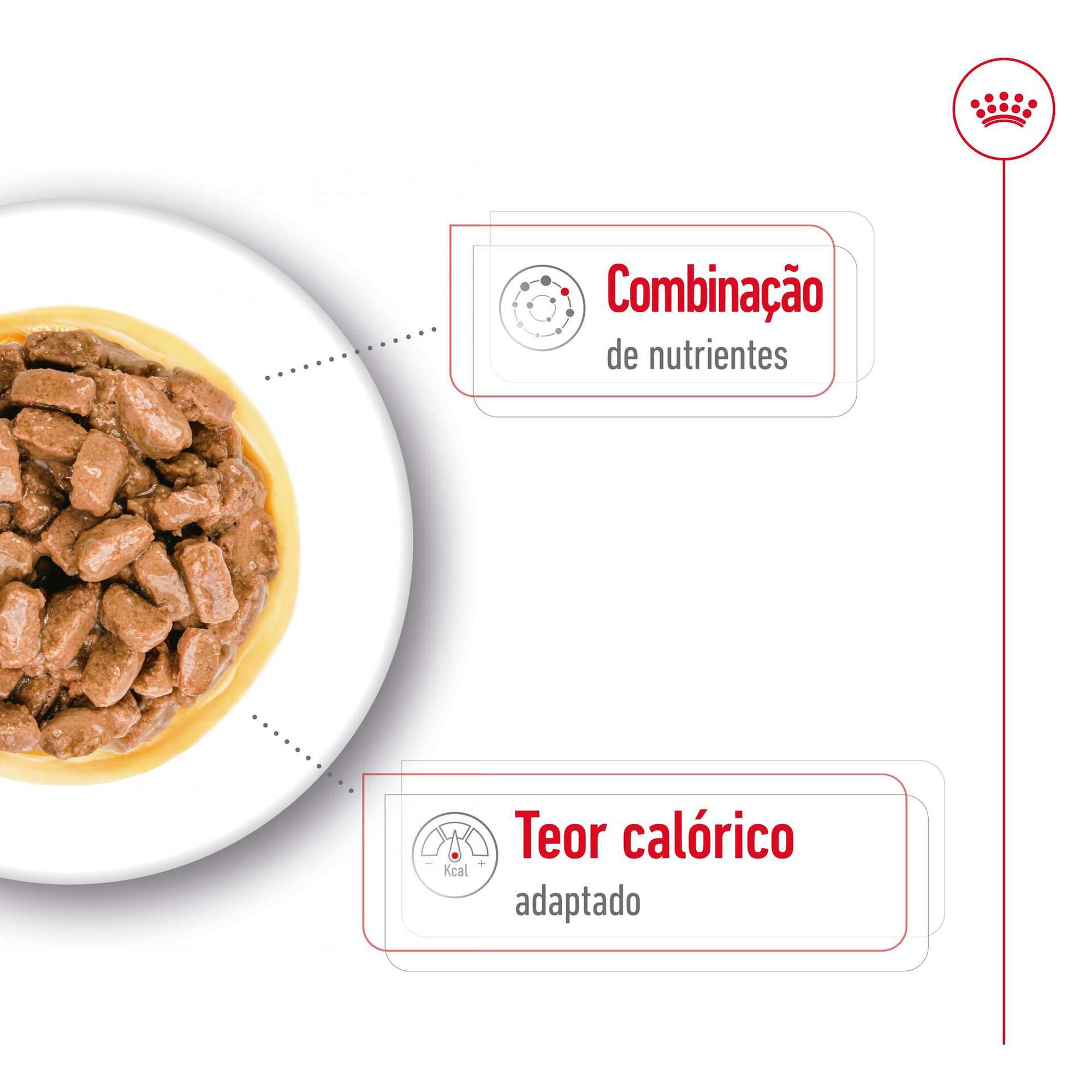 Comida Húmida para Cão Sénior Mini Ageing 12+ Saquetas