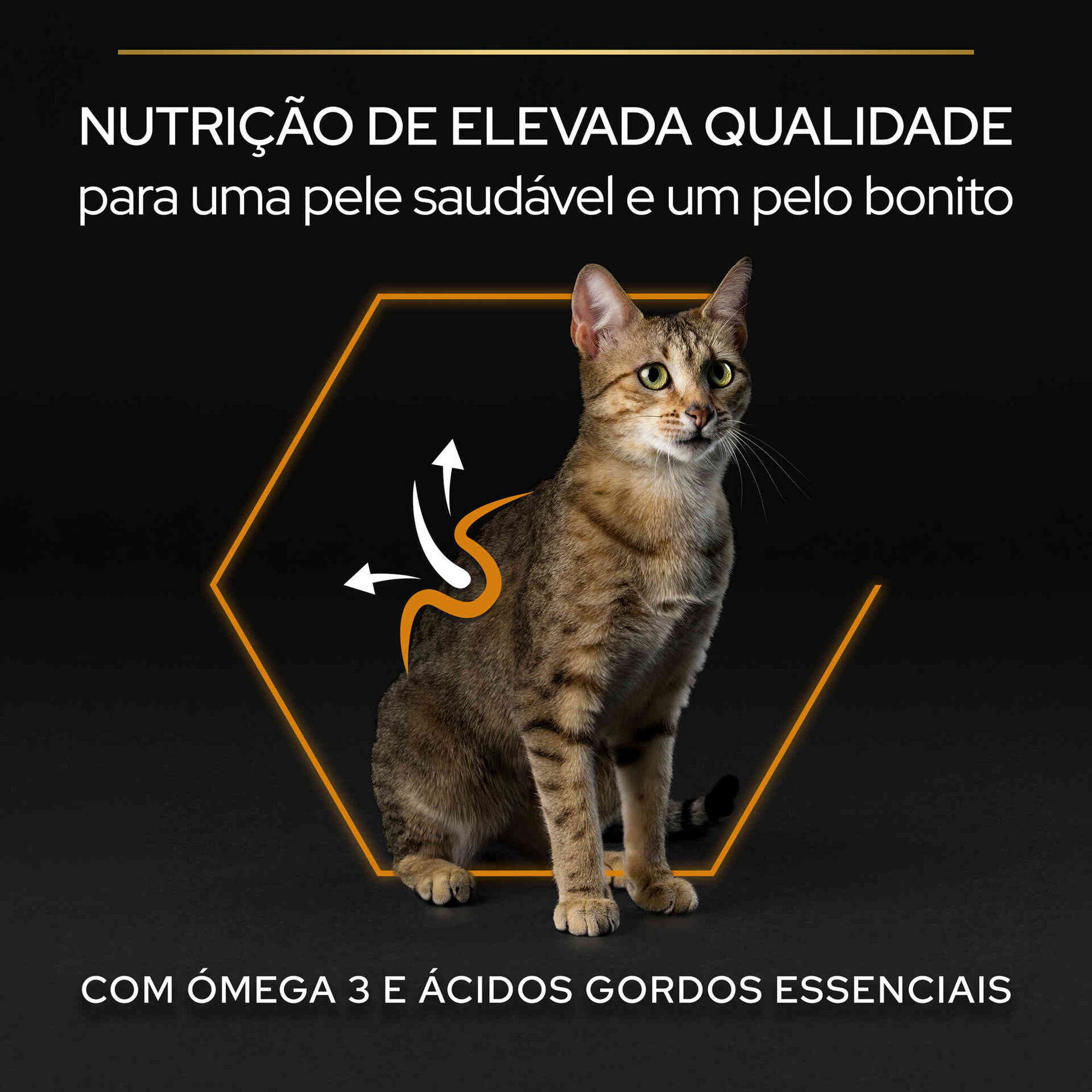 Ração para Gato Adulto Derma Care Salmão