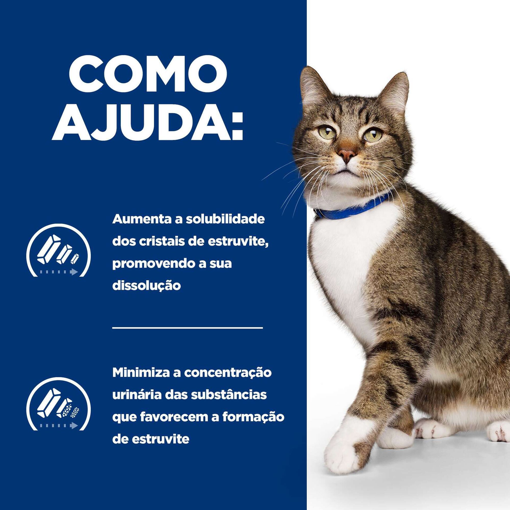 Comida Húmida para Gato Prescription Diet Urinary Care