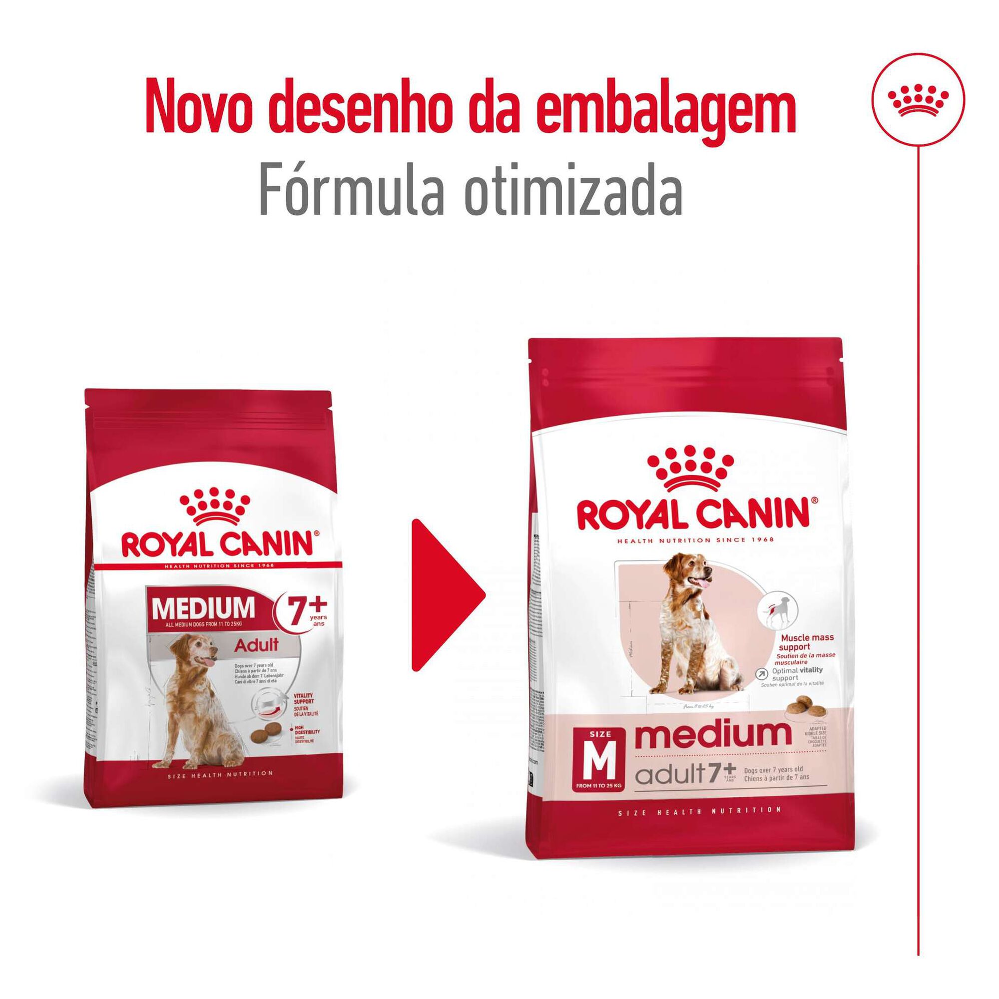Ração para Cão Sénior Médio Ageing 7+