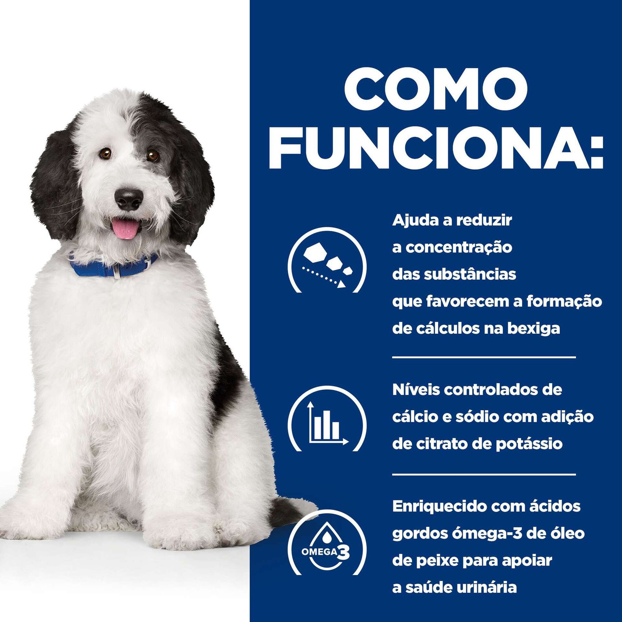 Ra&ccedil;&atilde;o para C&atilde;o Adulto Prescription Diet Urinary Care Multicare Frango