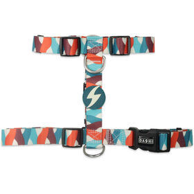 Arn&ecirc;s para C&atilde;o Mojo L