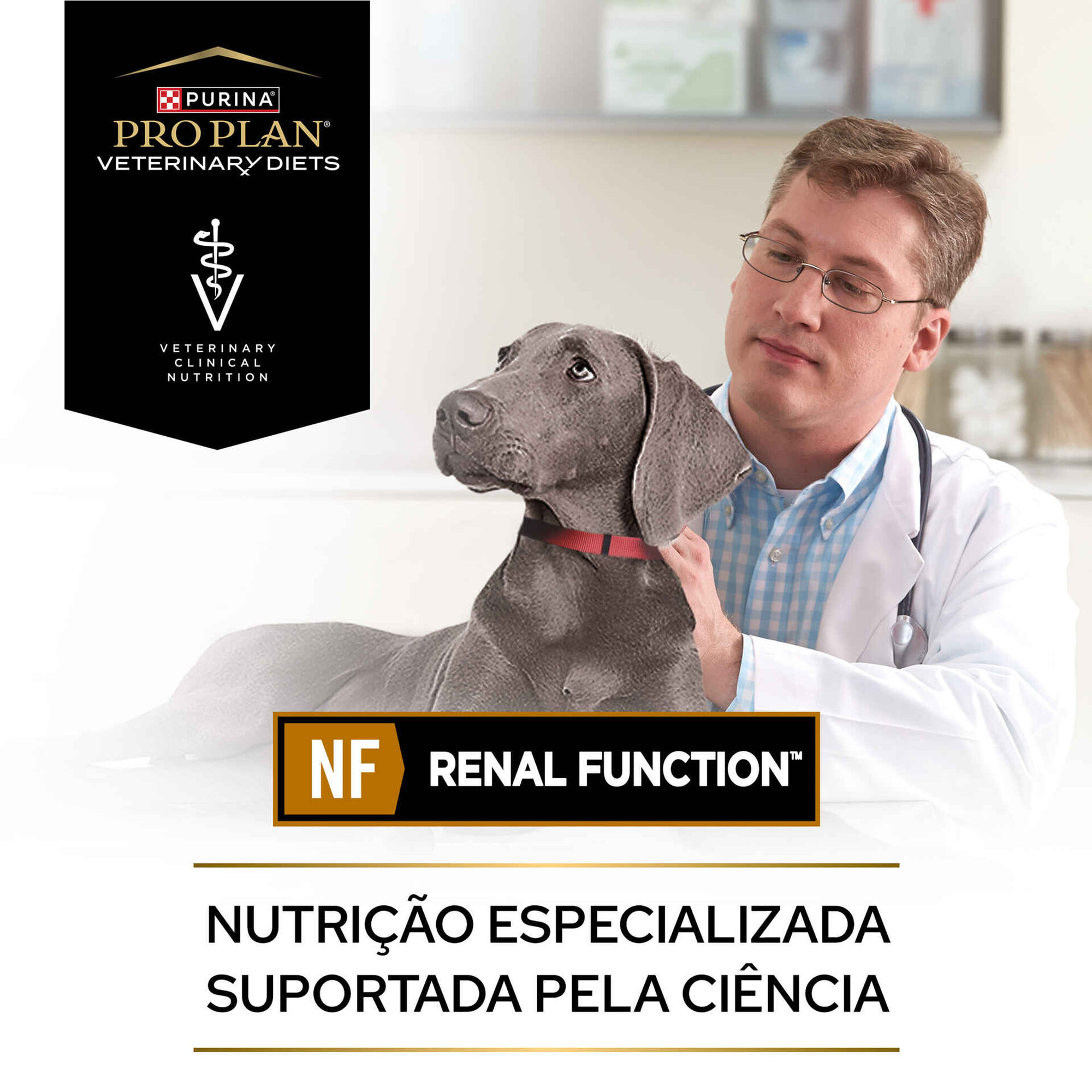 Comida Húmida para Cão Renal Mousse
