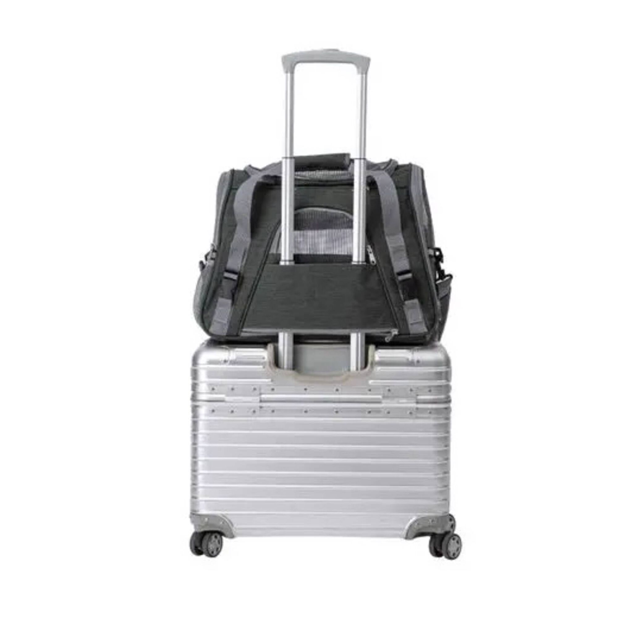 Transportadora Lax Verde