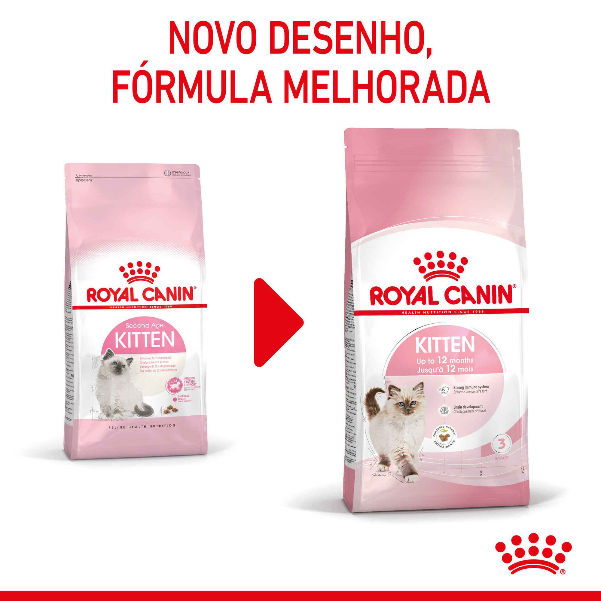 Ração para Gato Júnior Ração para Gato Júnior