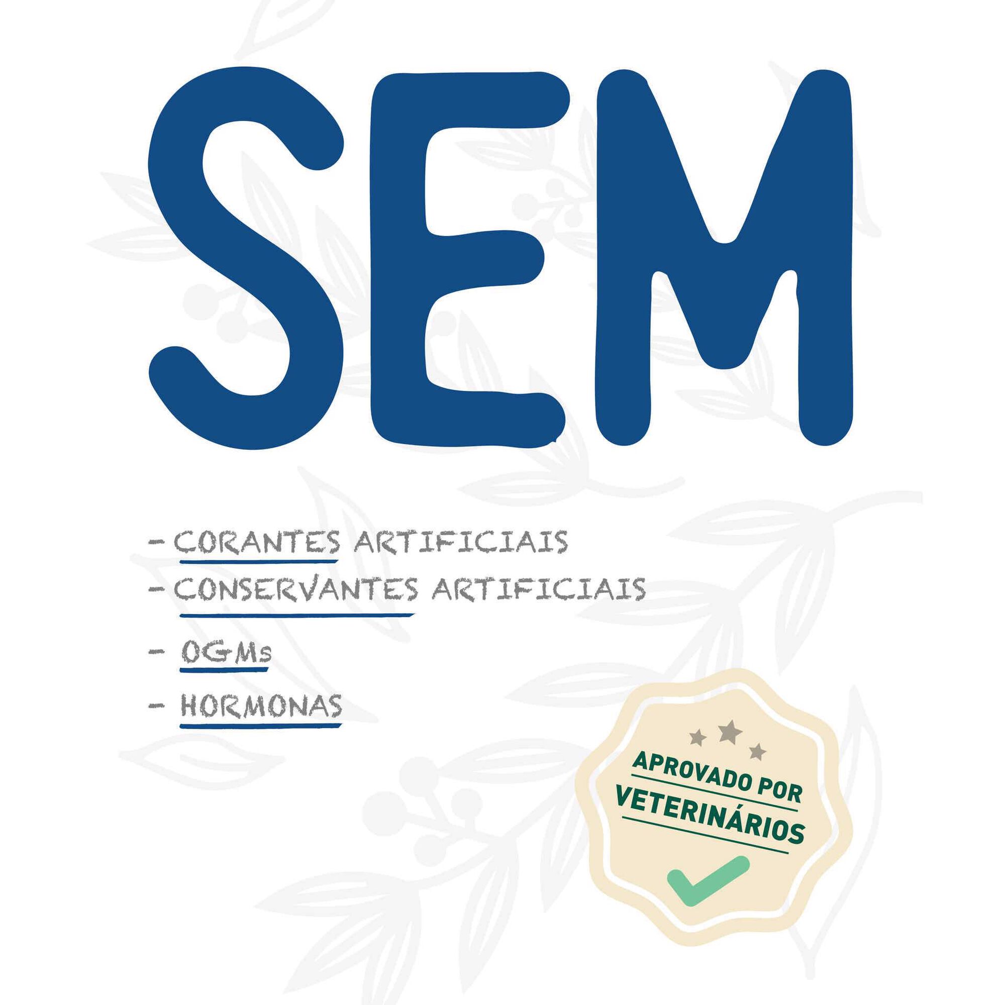 Ração para Cão Adulto Salmão e Maçã