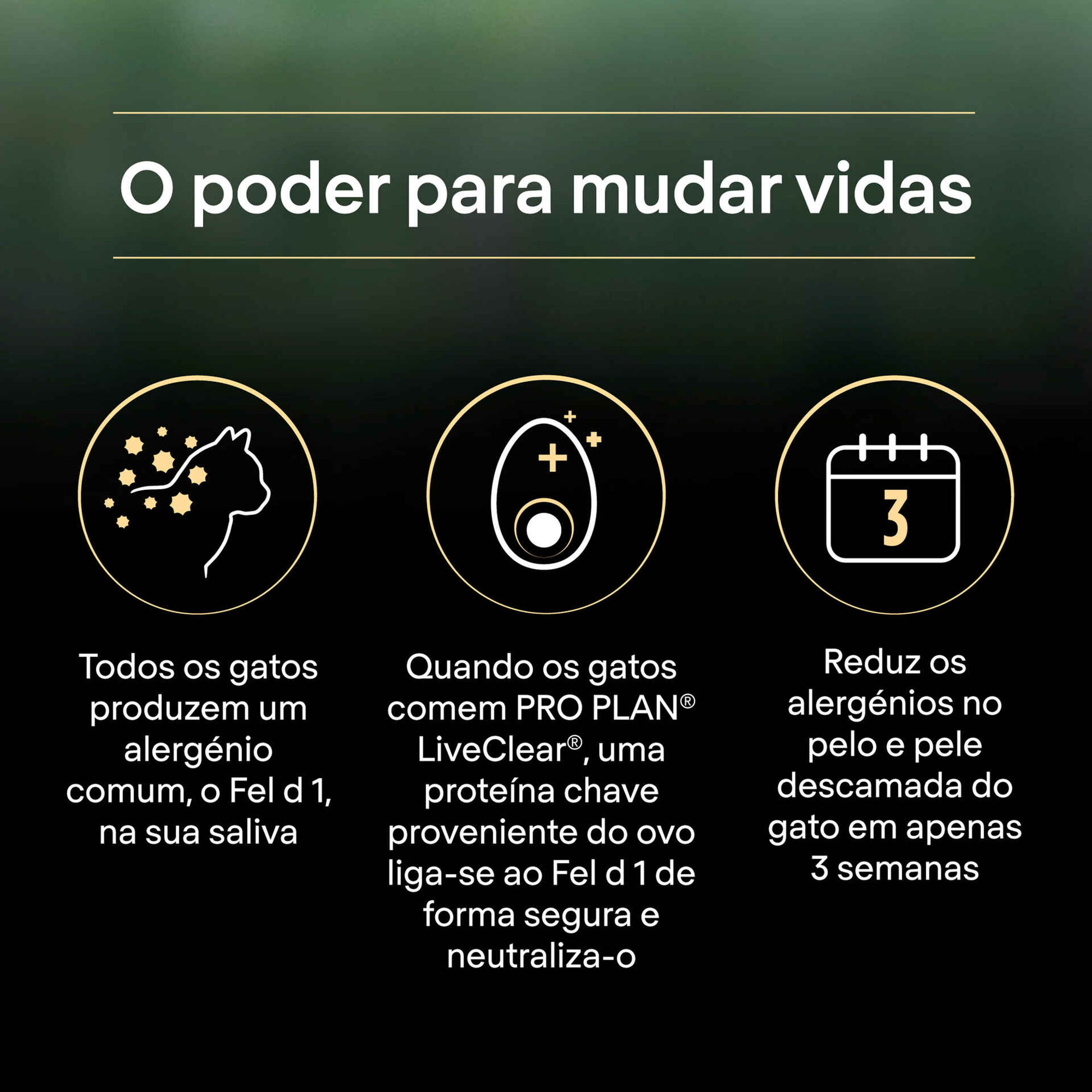 Ração para Gato Adulto Esterilizado Live Clear Peru