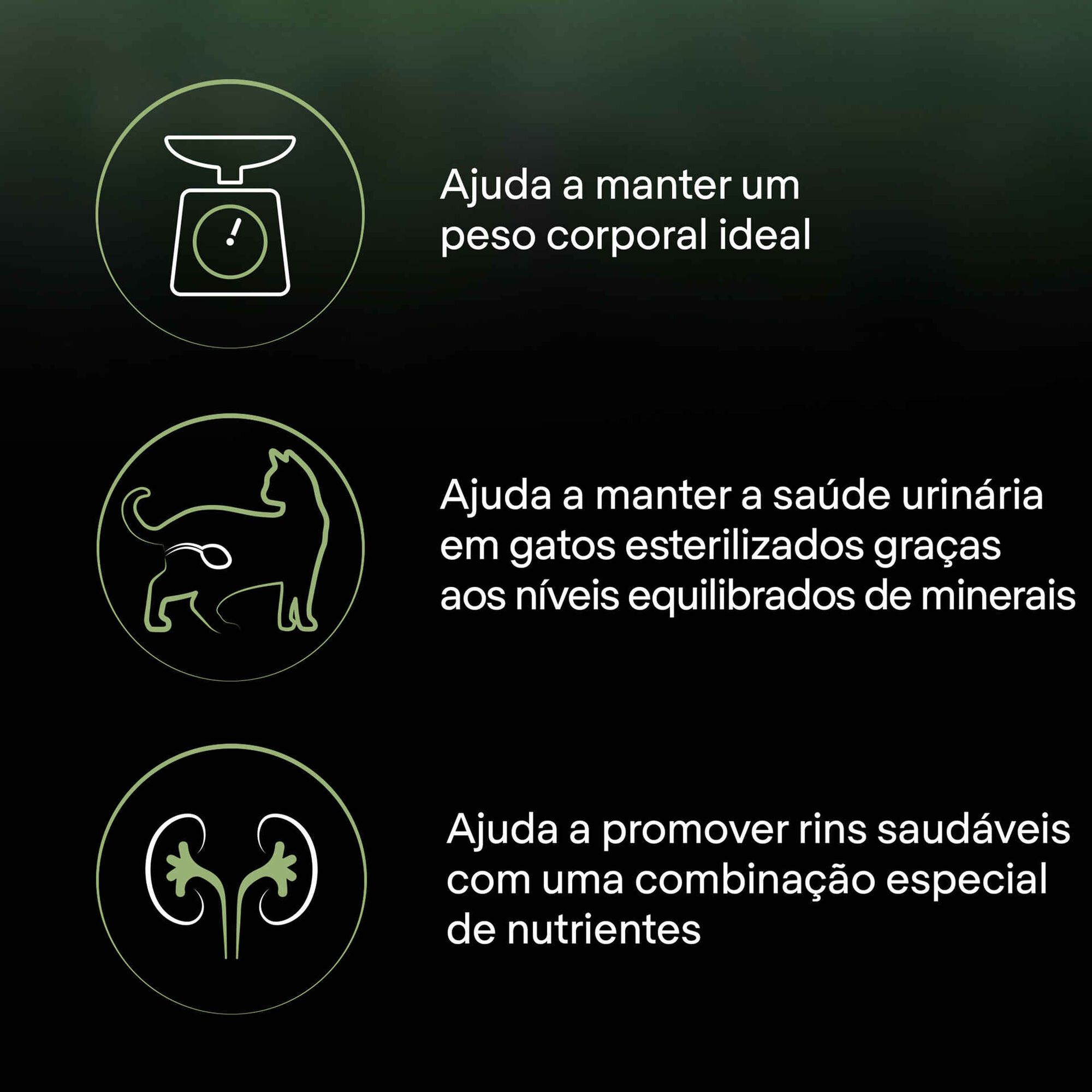 Ração para Gato Adulto Esterilizado Live Clear Peru