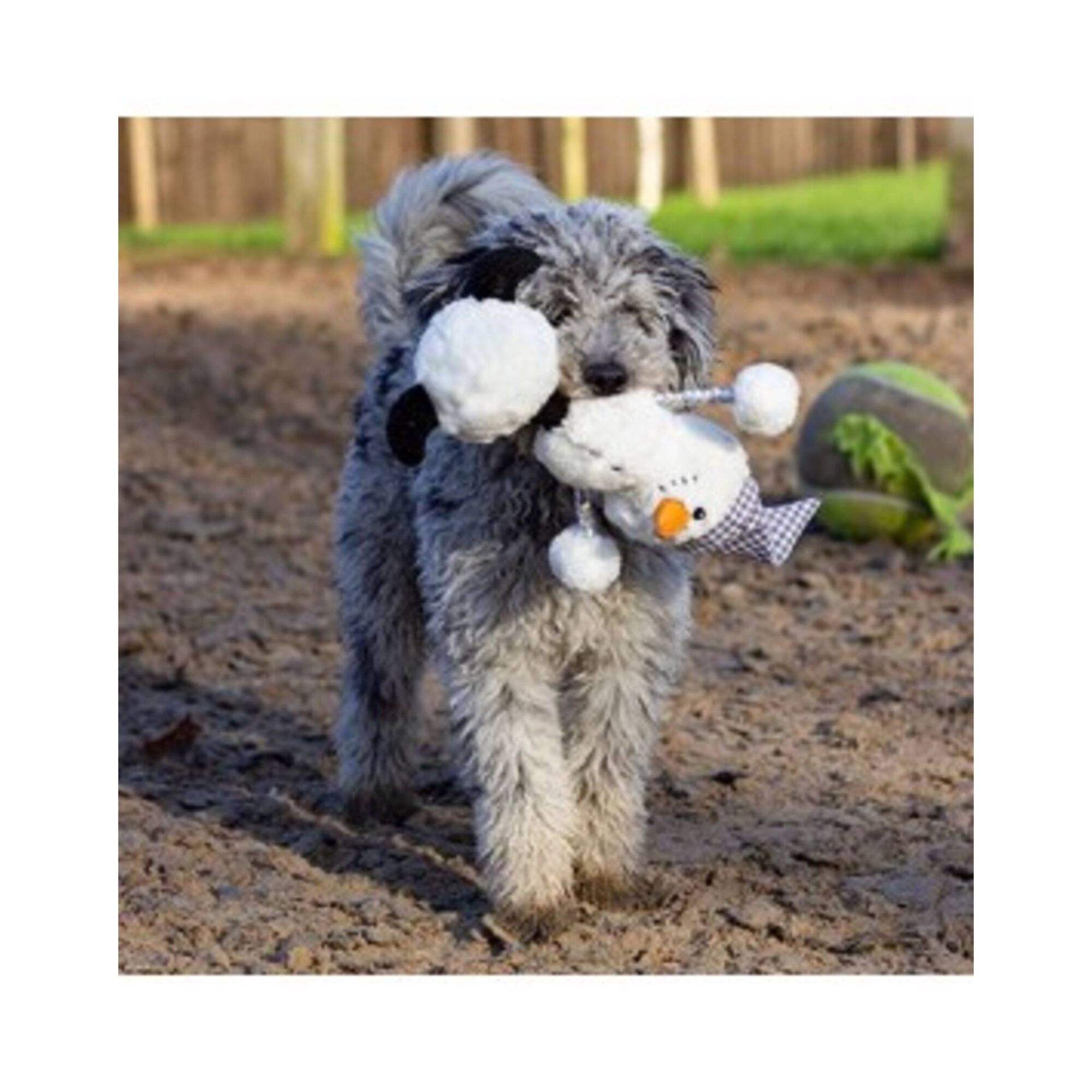 Brinquedo para Cão Snoop Snowman 