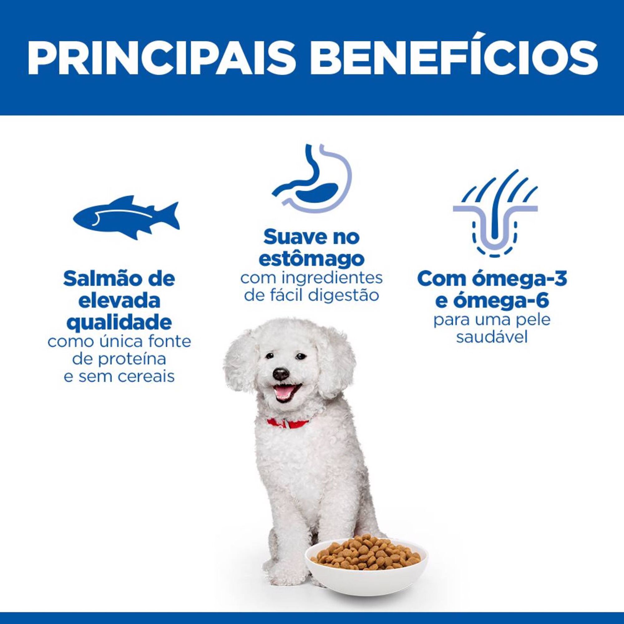 Ração para Cão Adulto Science Plan Hypoallergenic Salmão