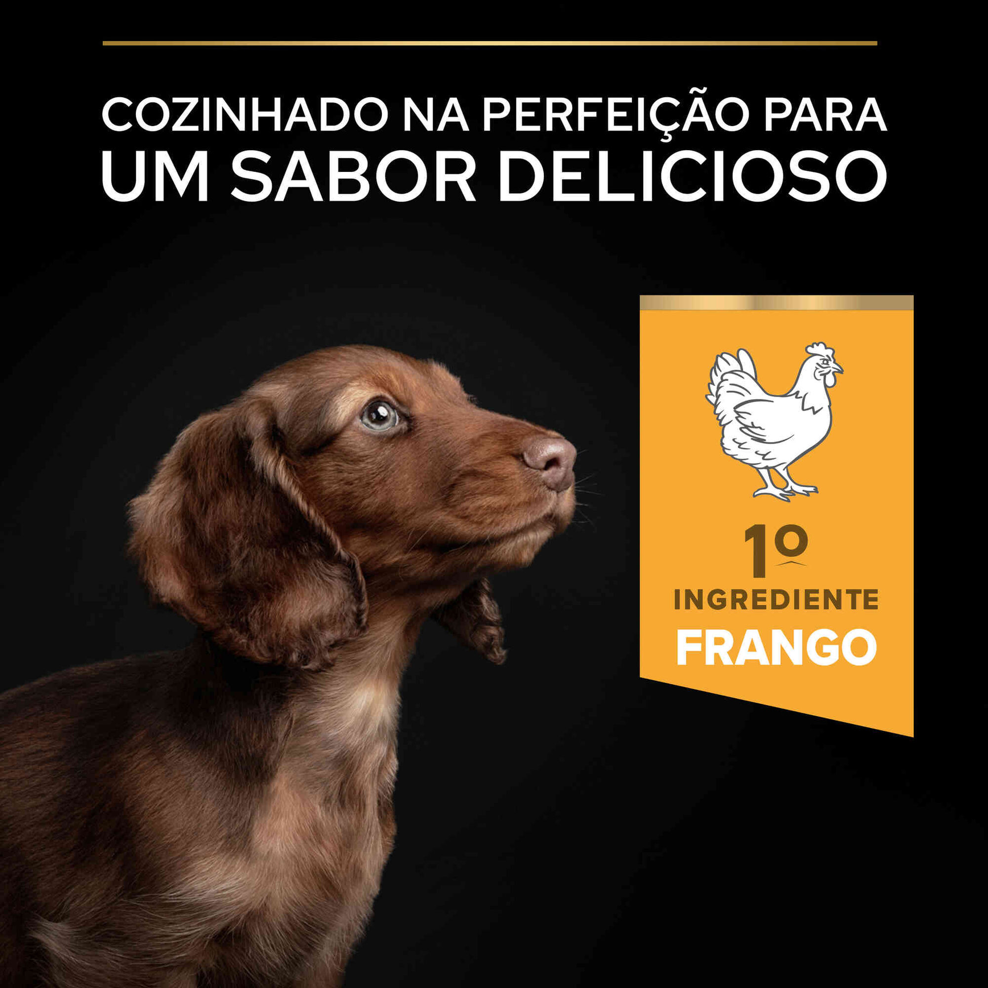 Ração para Cão Júnior Mini Healthy Start Frango