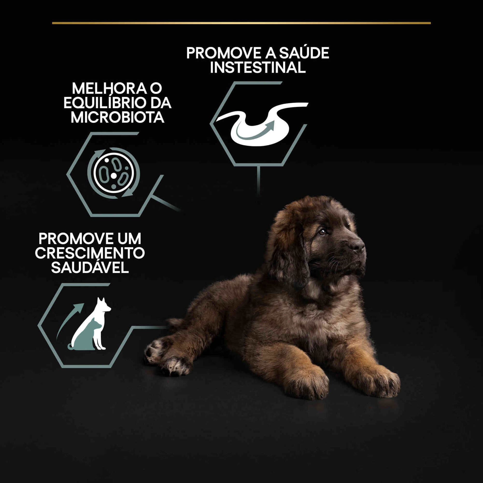 Ração para Cão Júnior Maxi Robust Sensitive Digestion Borrego