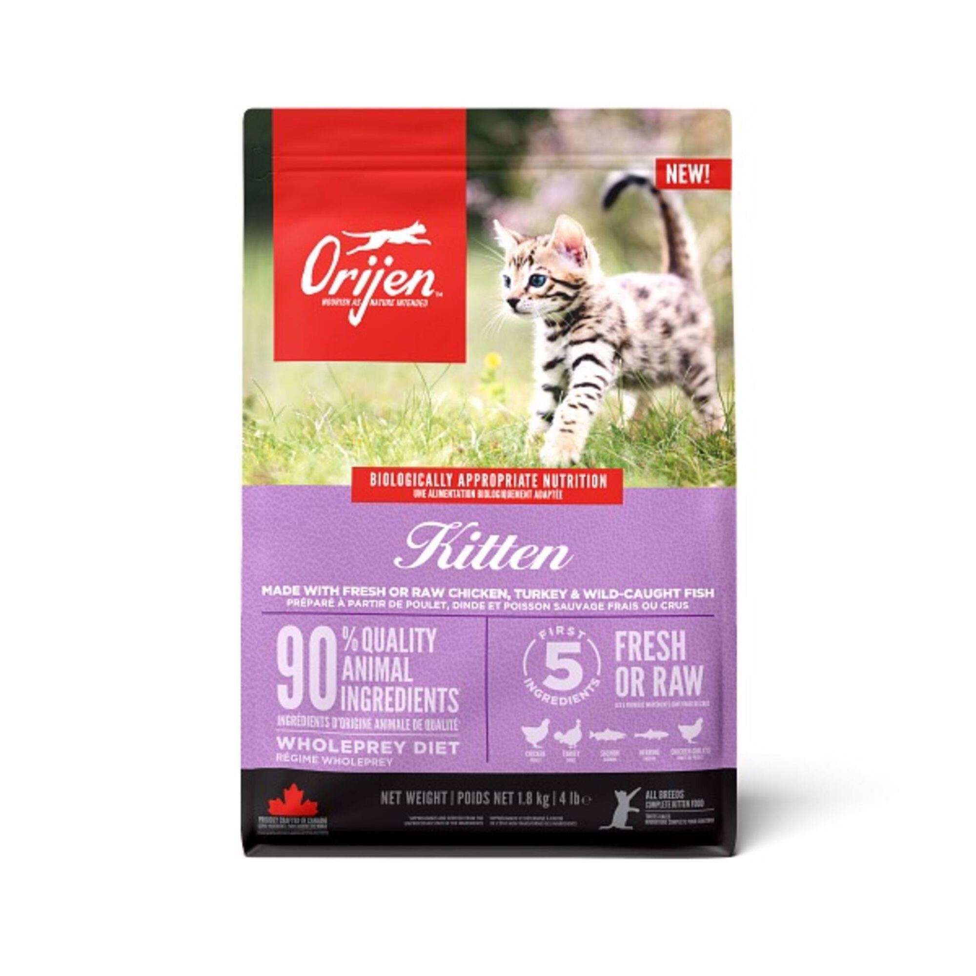 Ração para Gato Kitten