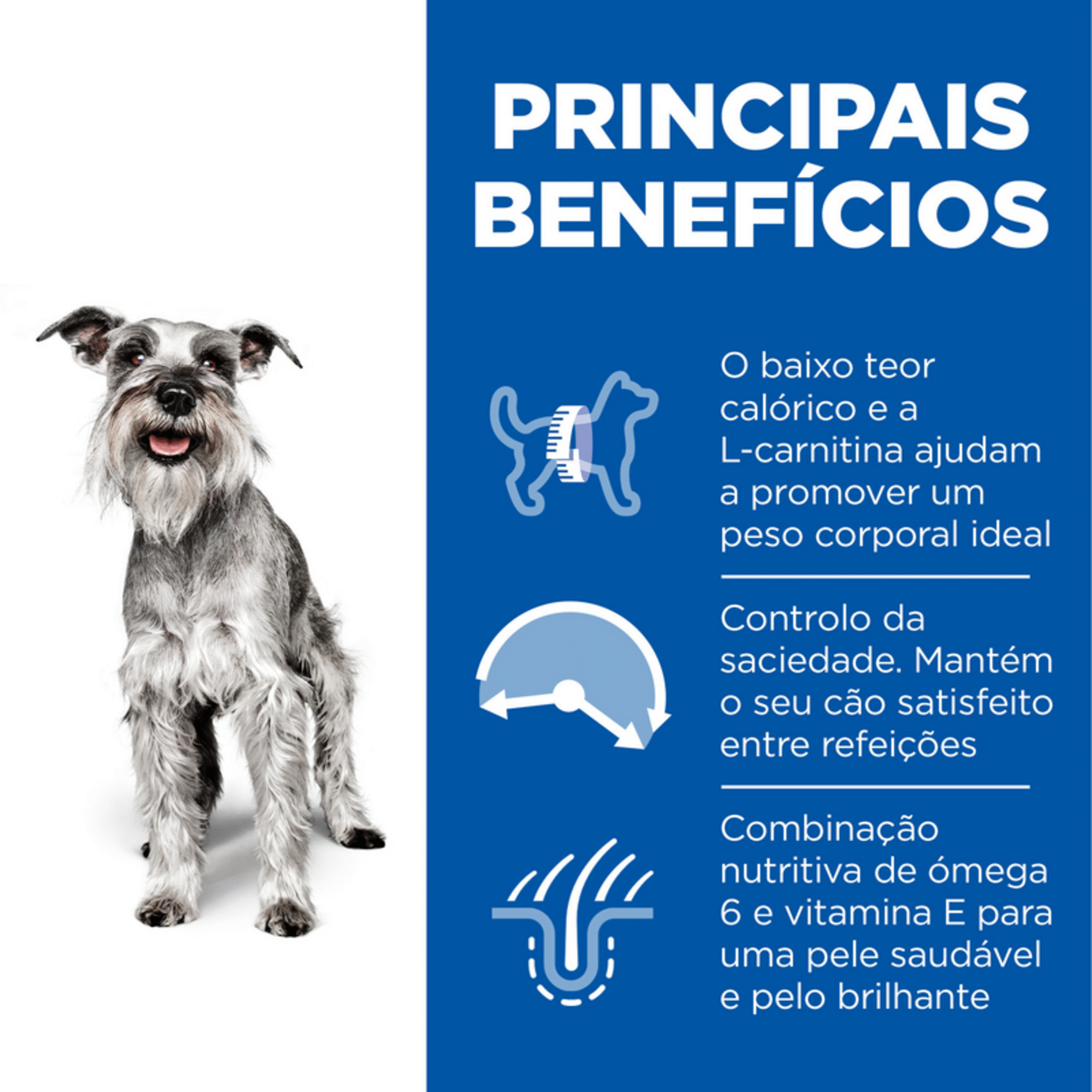Ração para Cão Adulto Mini Science Plan Light 7+ Frango