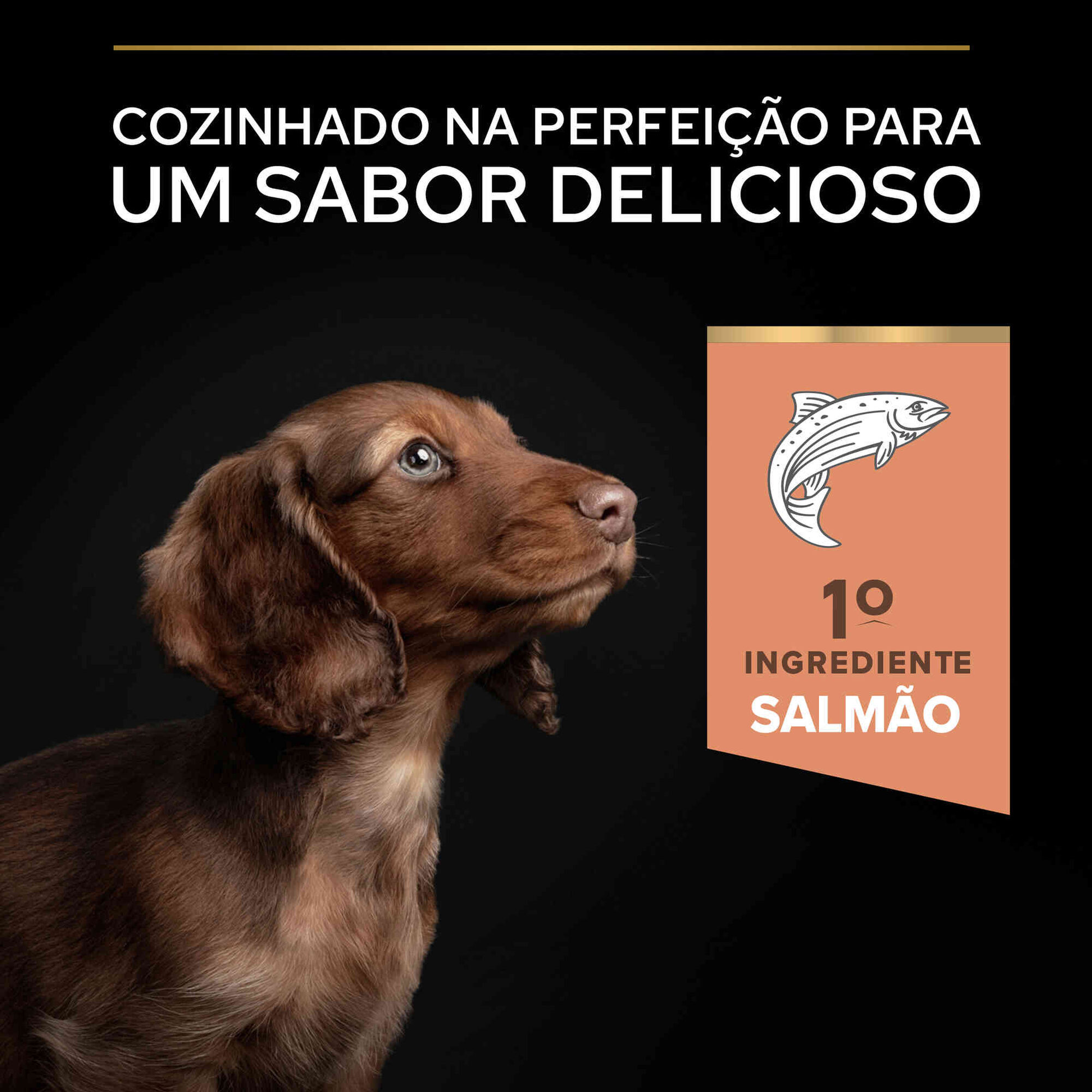 Ração para Cão Júnior Mini Sensitive Skin Salmão
