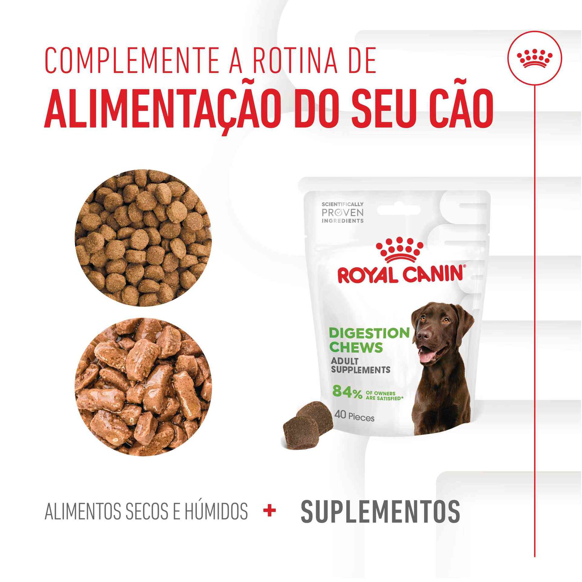 Suplemento Snack para Cão Adulto Digestion Chews