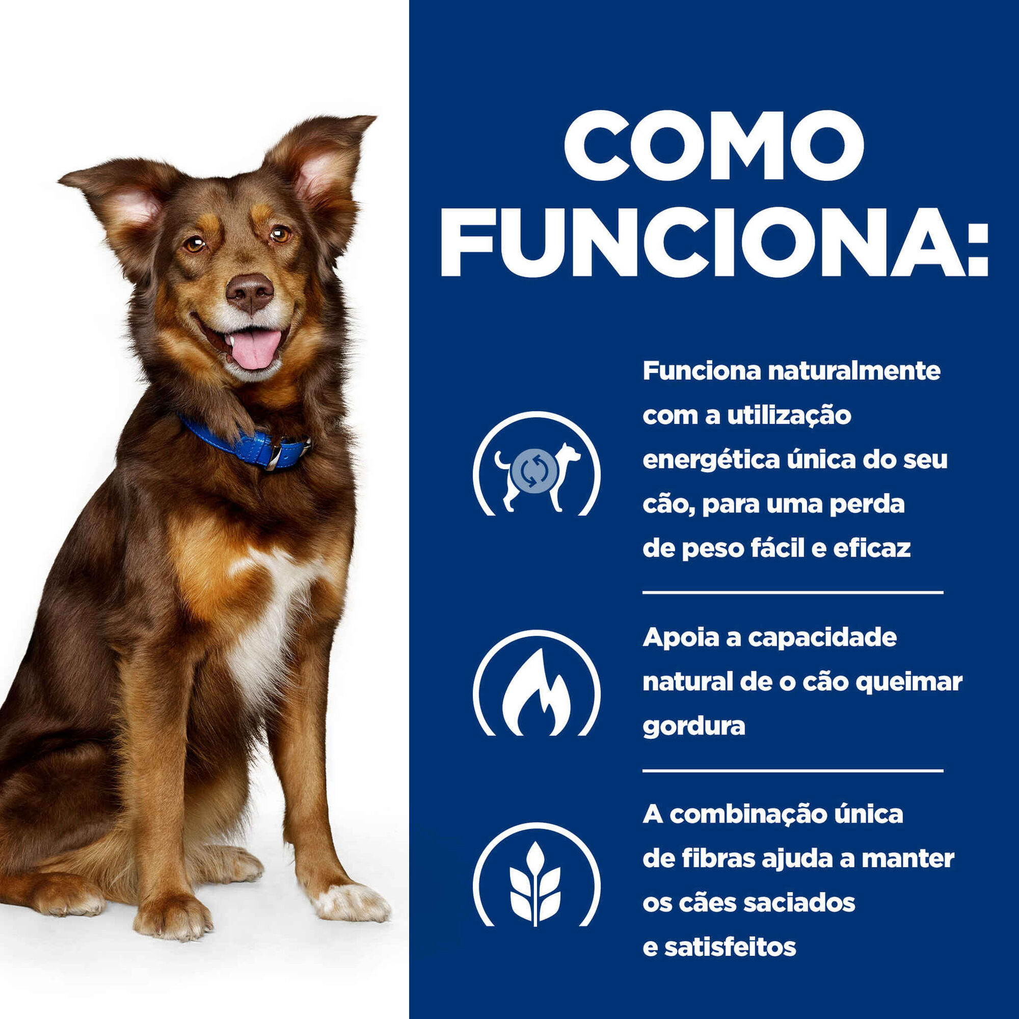Ração para Cão Prescription Diet Metabolic Weight Loss Frango