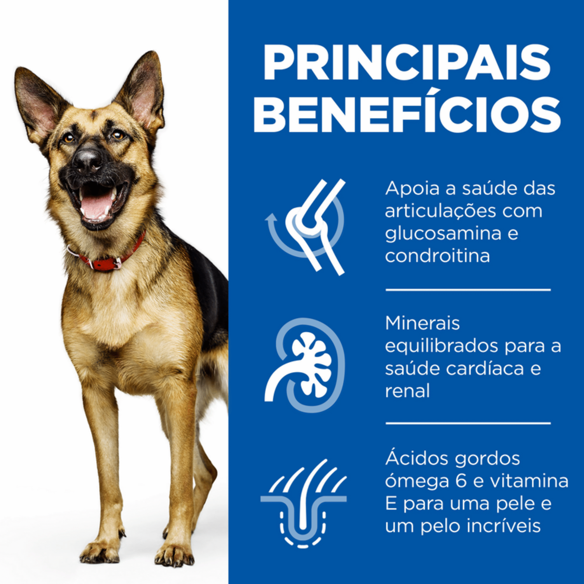 Ração para Cão Adulto Maxi Science PlanMaturo 5+ Frango