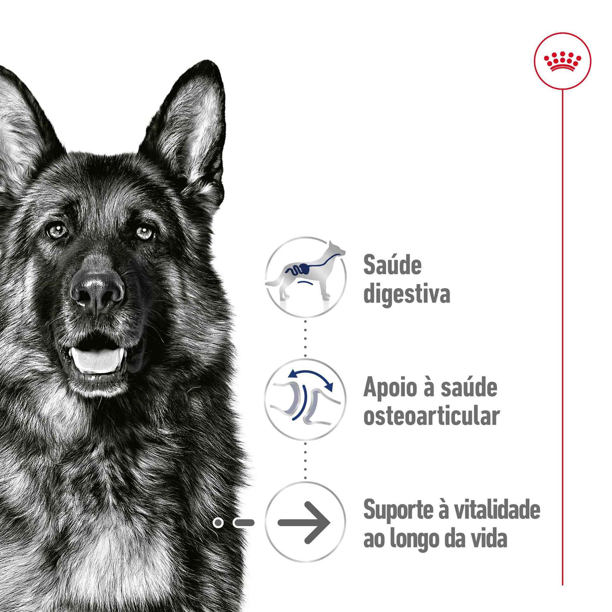 Comida Húmida para Cão Sénior Maxi