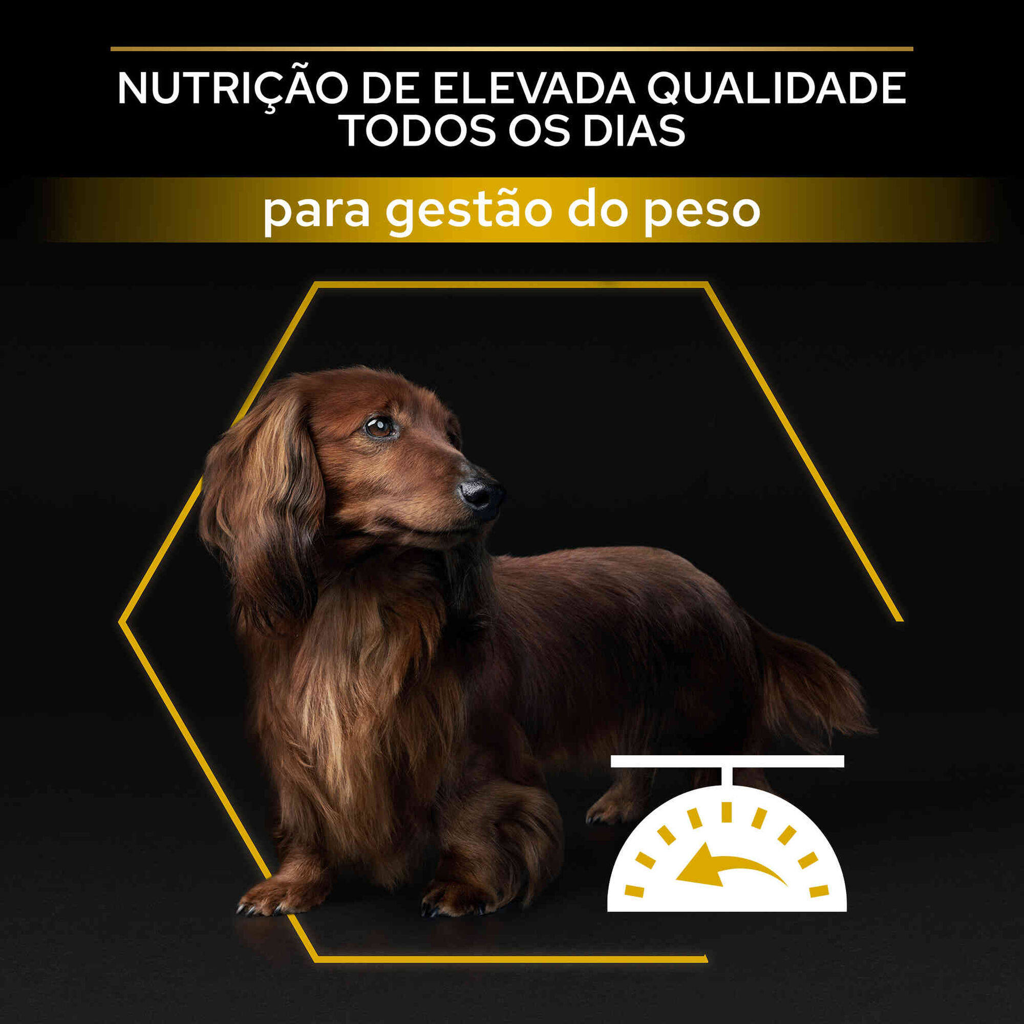 Ração para Cão Adulto Mini Esterilizado Light Frango