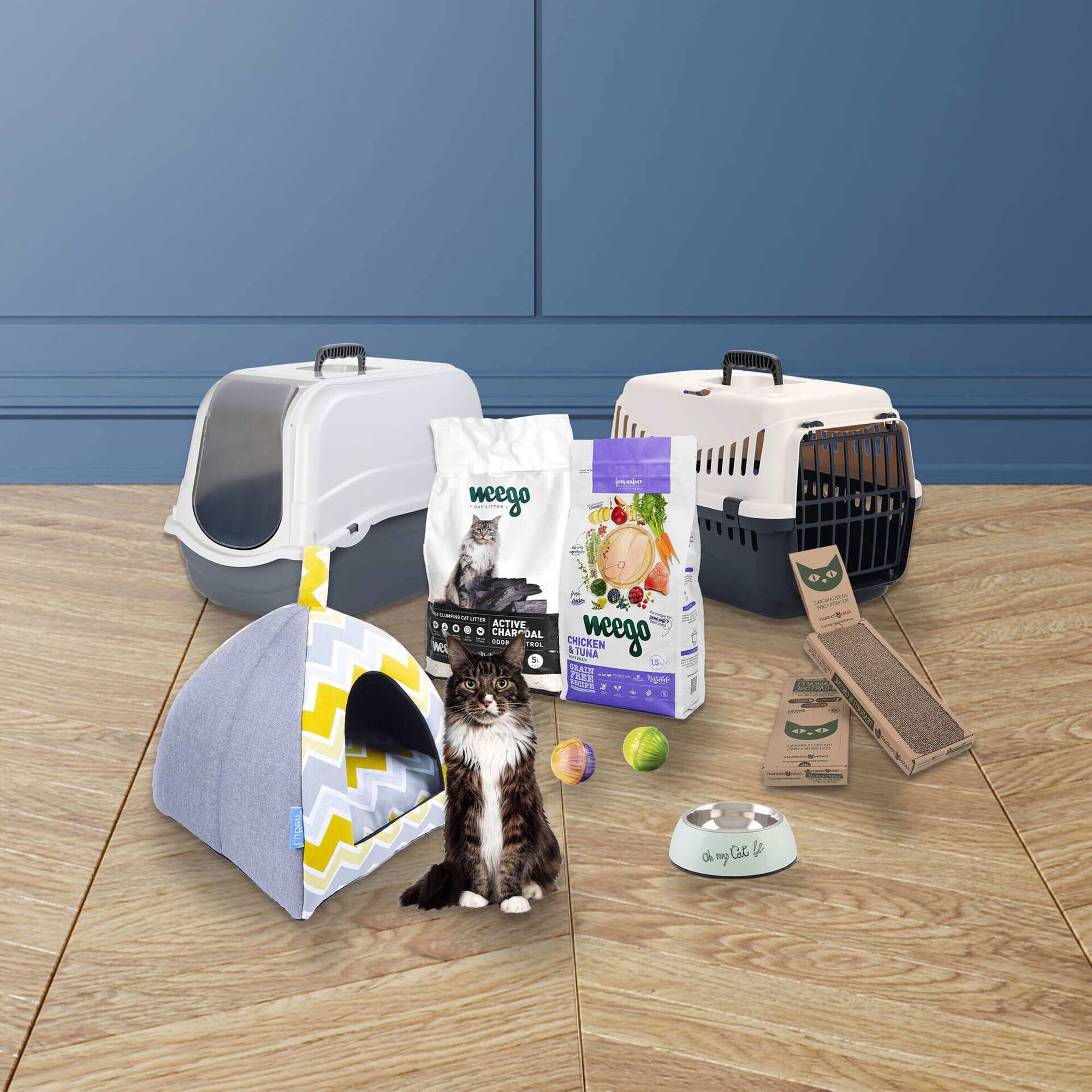 Kit de Adoção para Gato Sénior Kit de Adoção para Gato Sénior