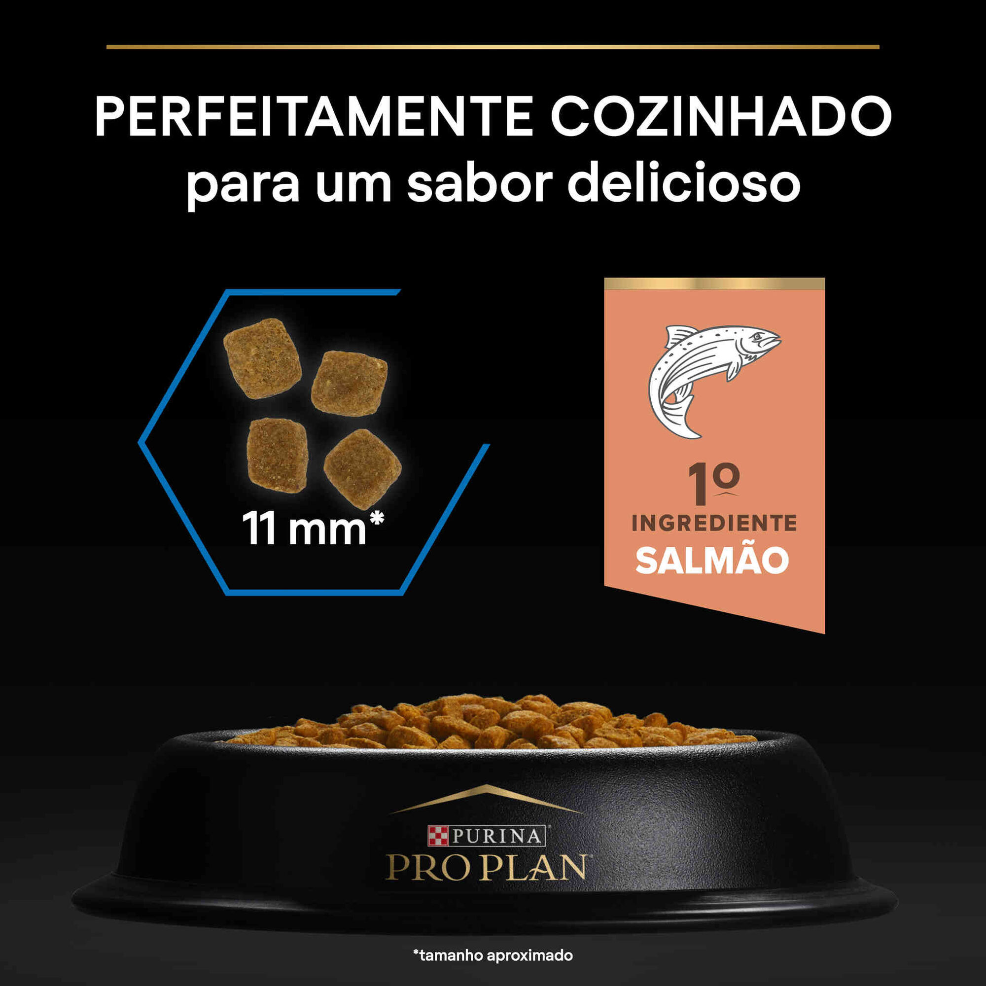 Ração para Gato Sénior Longevis Salmão