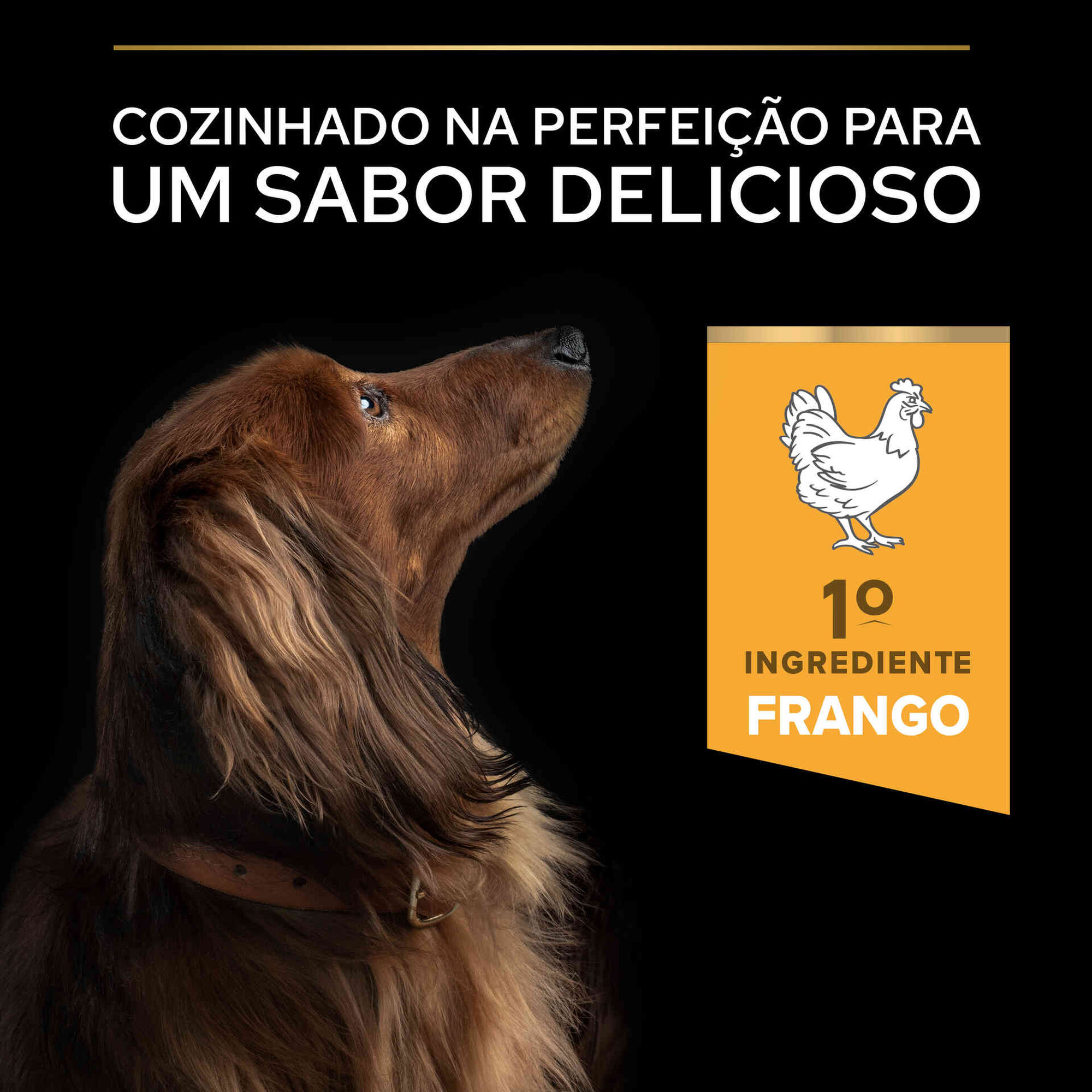Ração para Cão Adulto Mini Esterilizado Light Frango